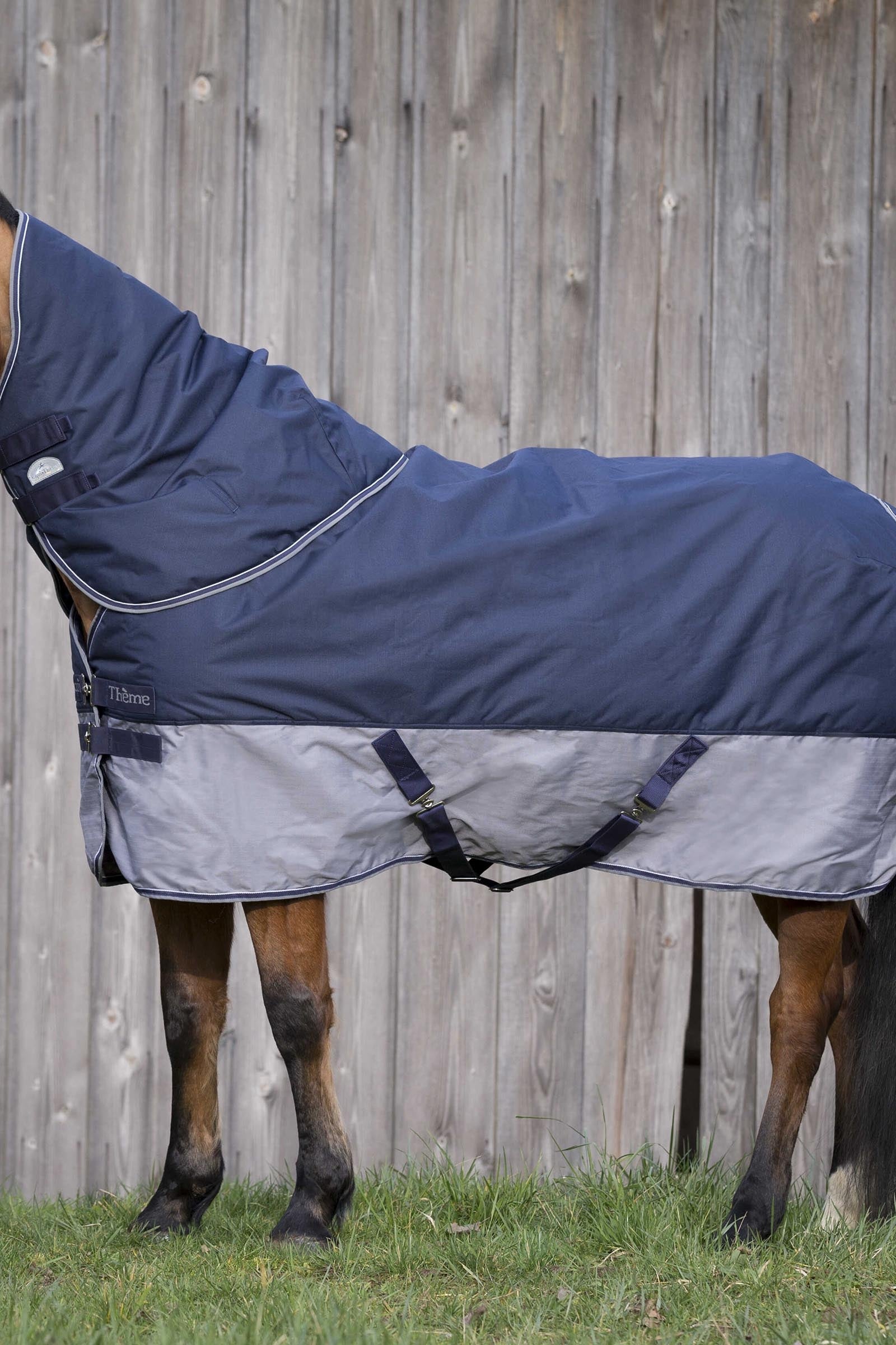 EQUITHÈME TYREX 600D Turnout Rug, 300 g Horse Rugs