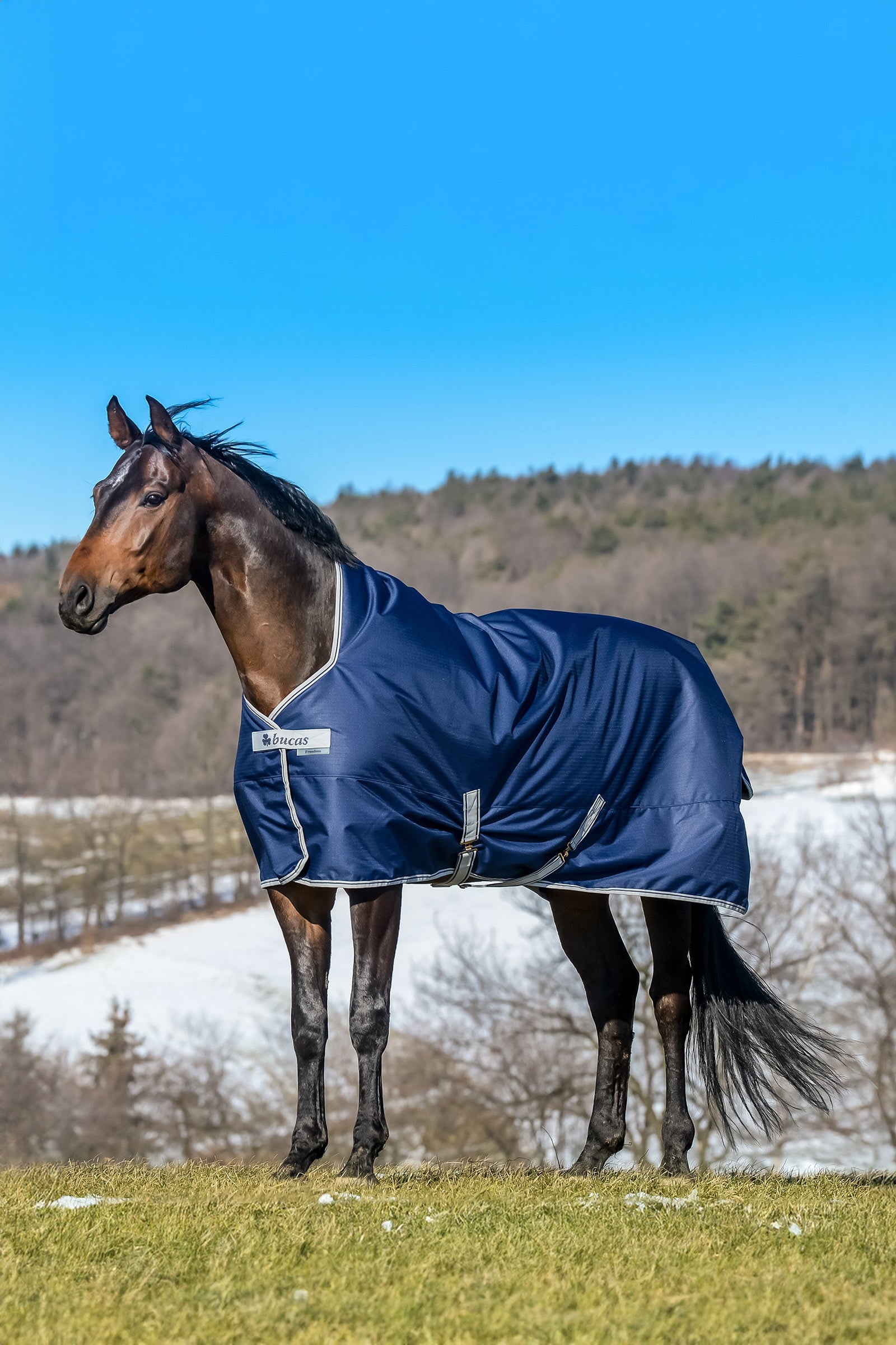 Bucas Freedom 150g High Neck Paardendekens