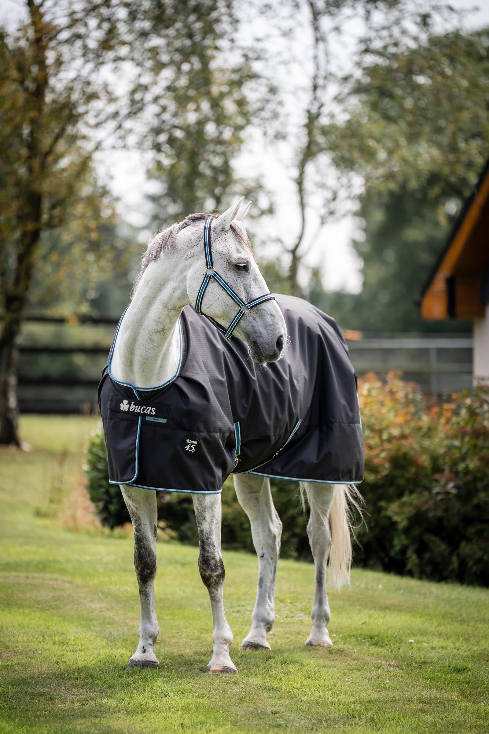 Bucas Anniversary SD Light Rain Turnout Rug, 0g Horse Rugs