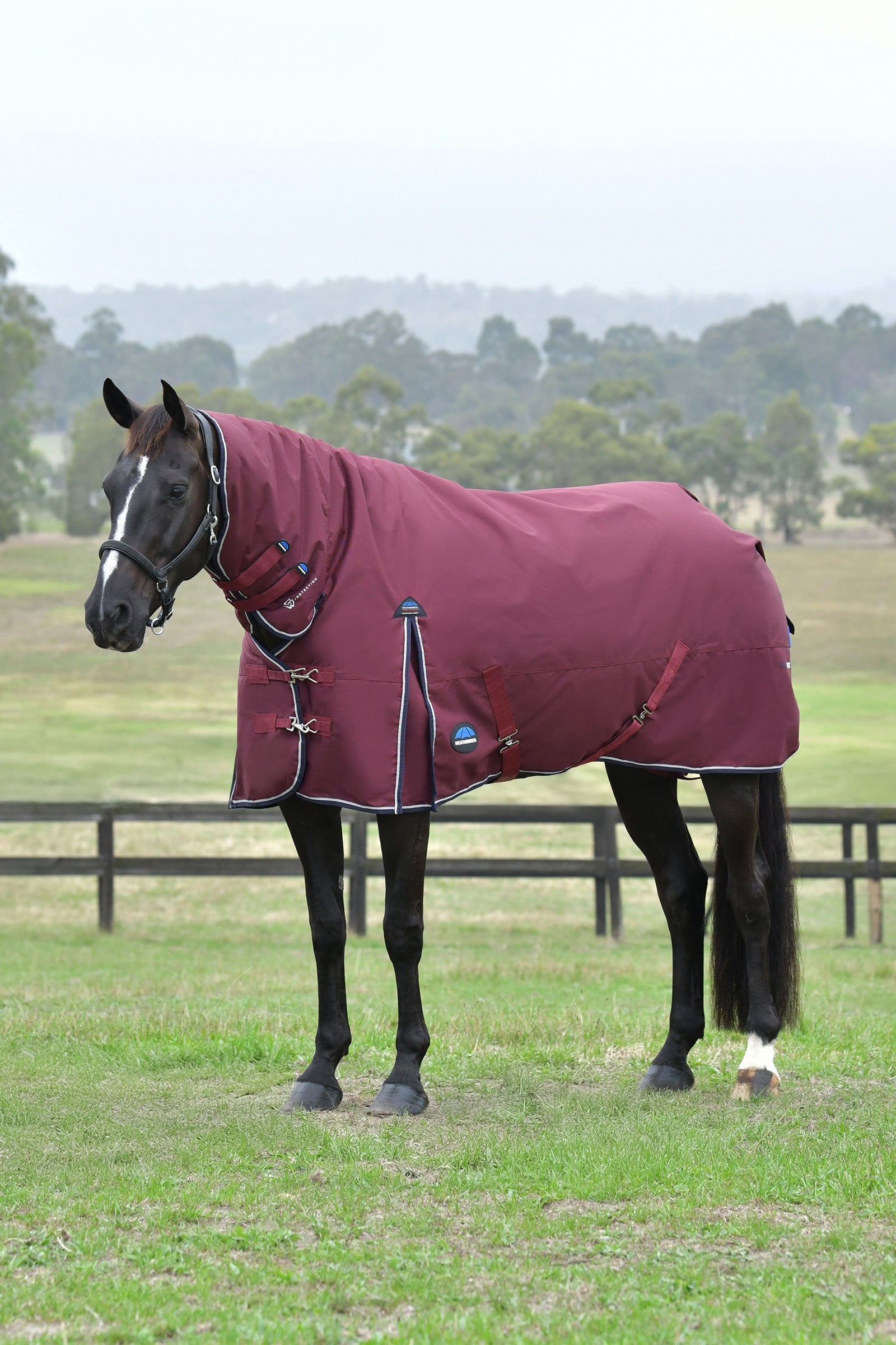 Weatherbeeta Comfitec Essential outdoordeken met vaste hals, 220g Paardendekens