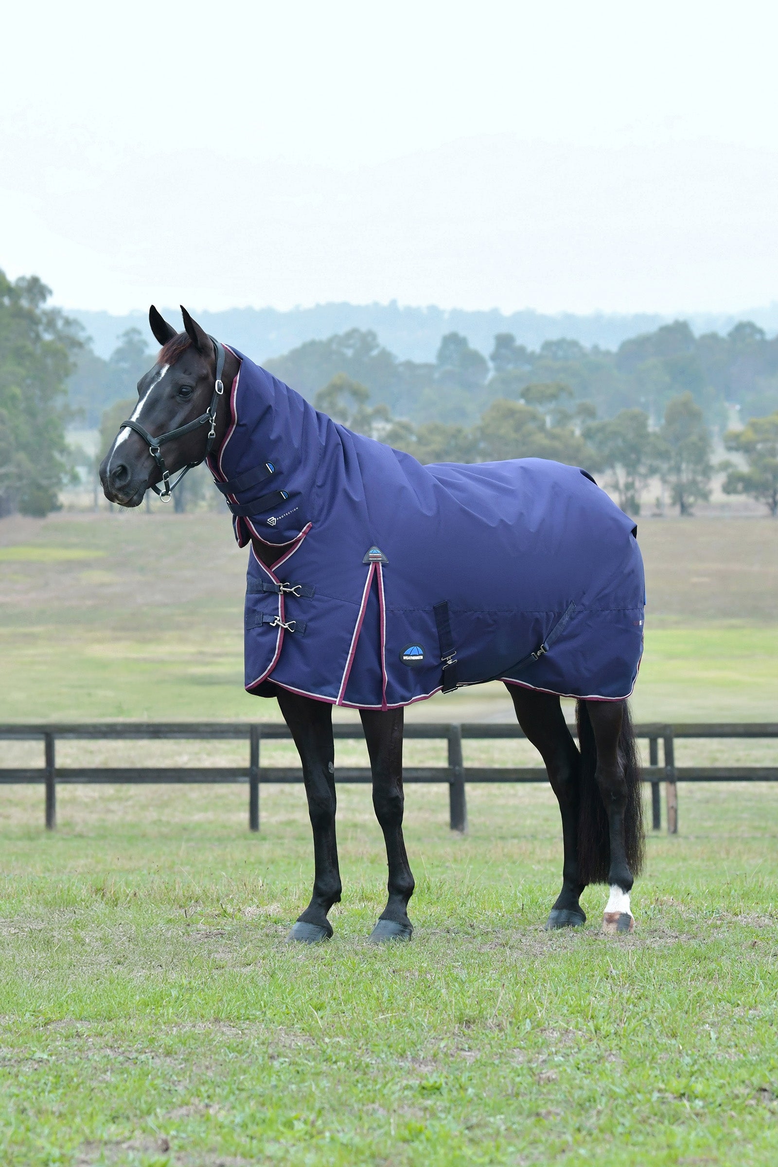 Weatherbeeta Comfitec Essential outdoordeken met vaste hals, 220g Paardendekens