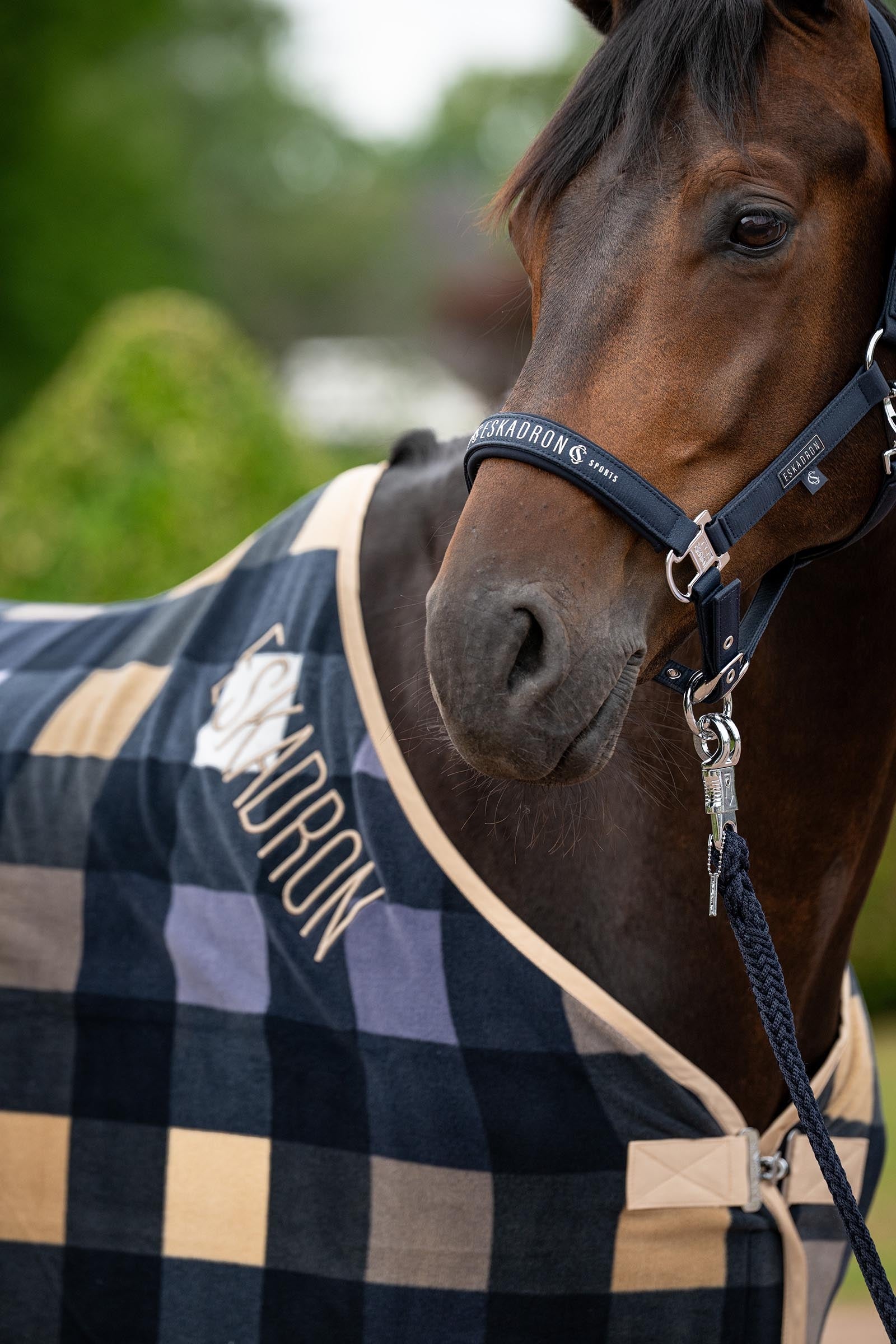 Eskadron Classic Sport SS26 Sparkle Double Pin Headcollar Halters & Leads