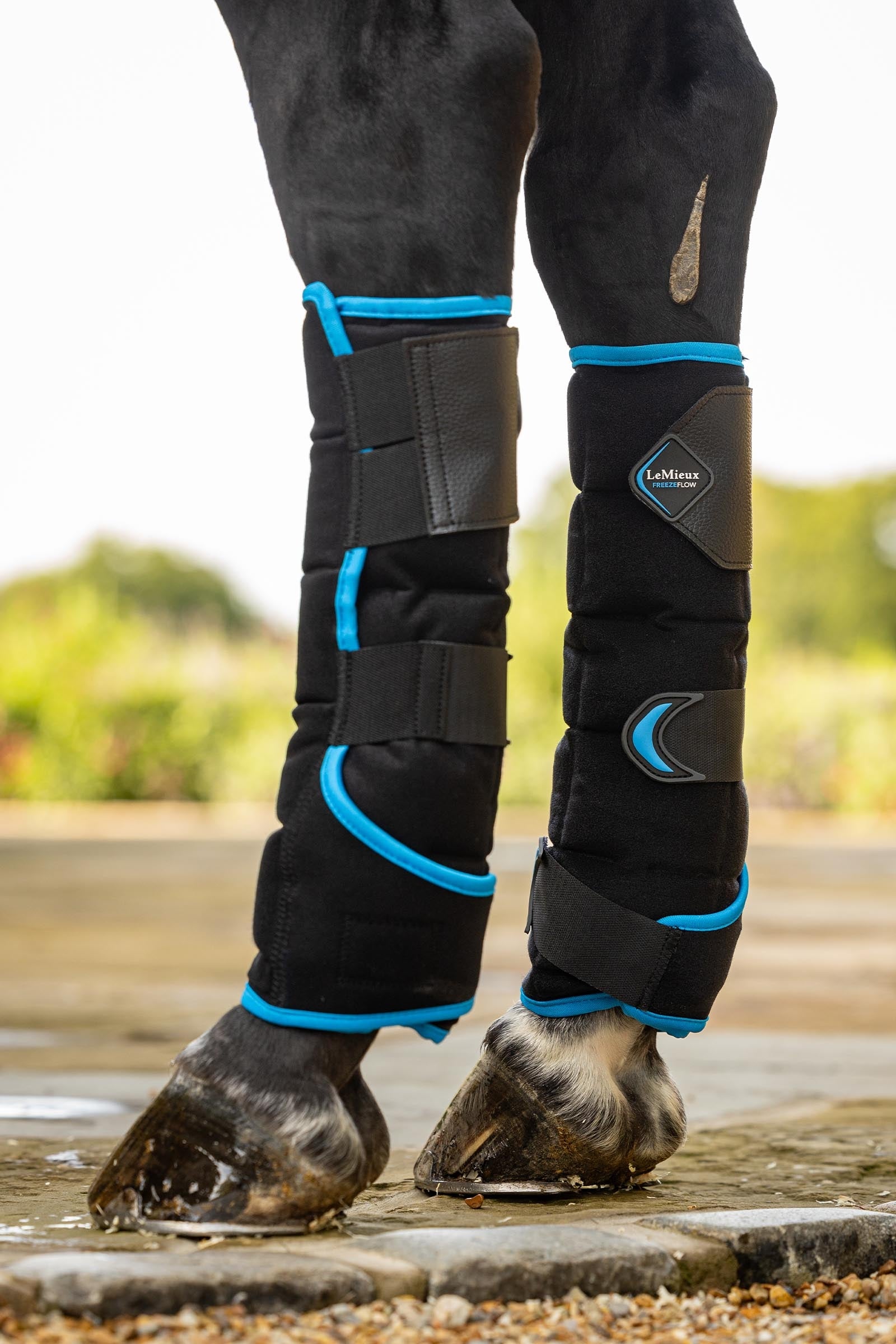 LeMieux Freeze Flow koelboots achter Leg & Hoof Protection