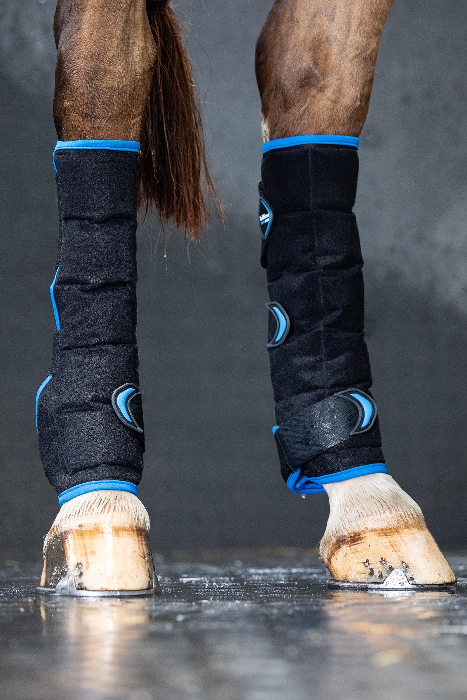LeMieux Freeze Flow Ice Boot Hind Leg & Hoof Protection