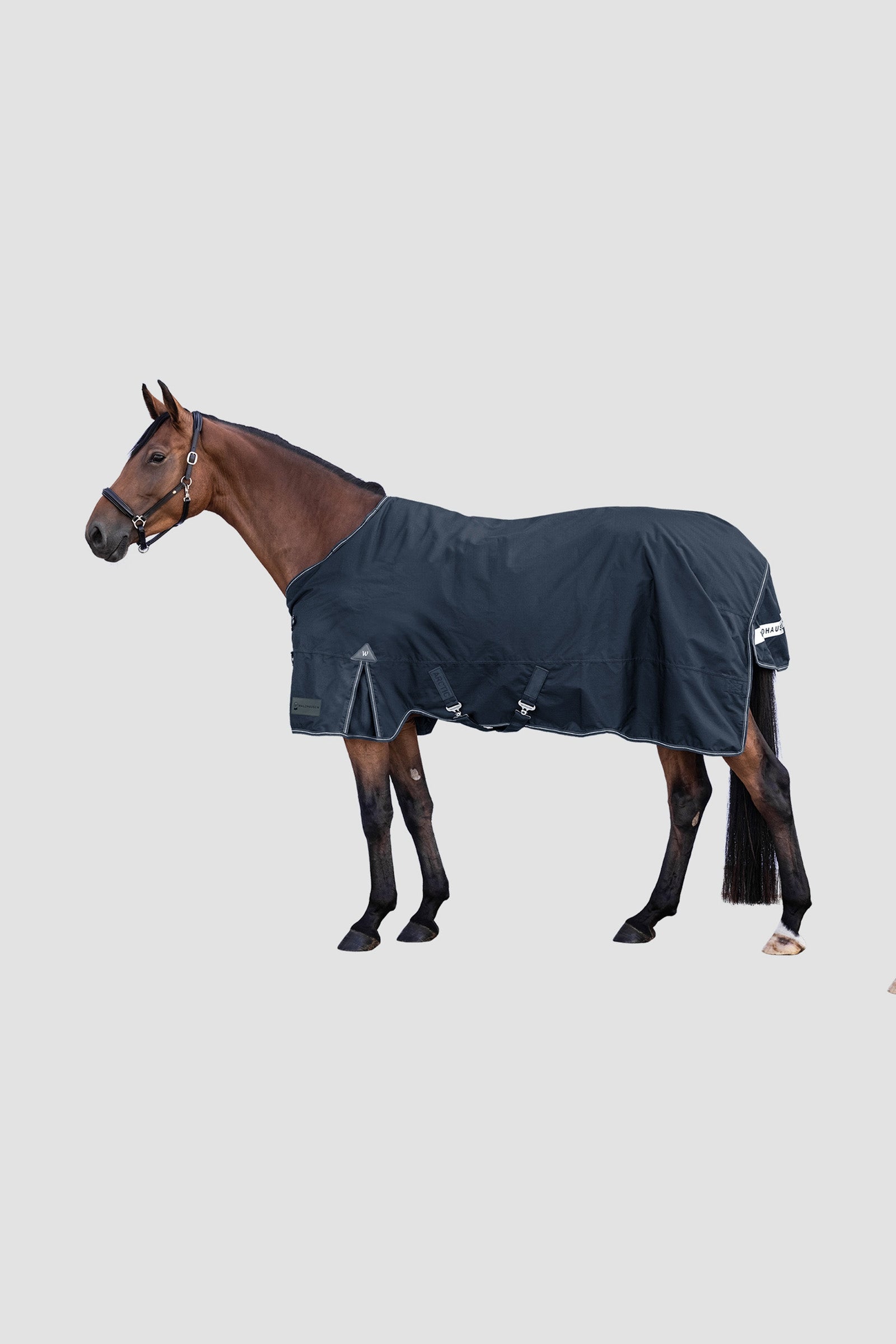 Waldhausen Arctic Outdoor Rug, 100 g Paardendekens