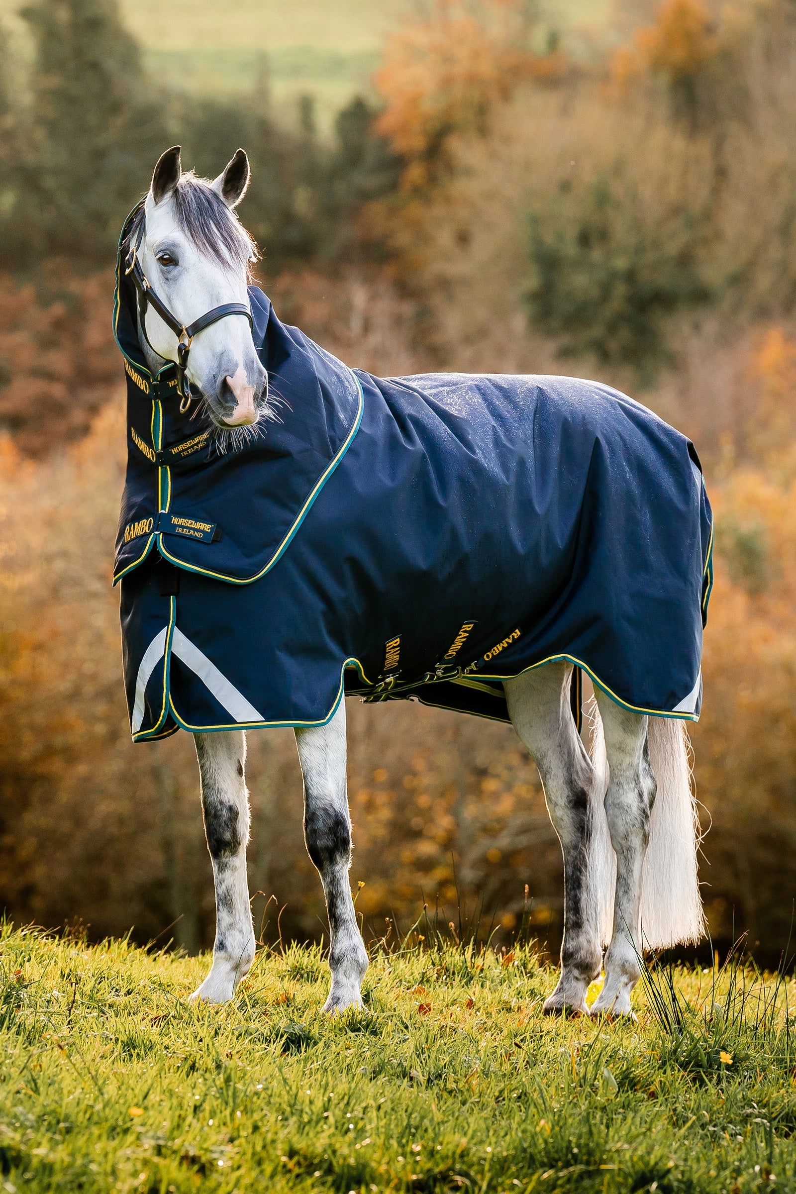 Horseware Rambo Duo Force 2.0 outdoordeken 100g (100g buitenkant met 100g voering en 300g voering) Paardendekens