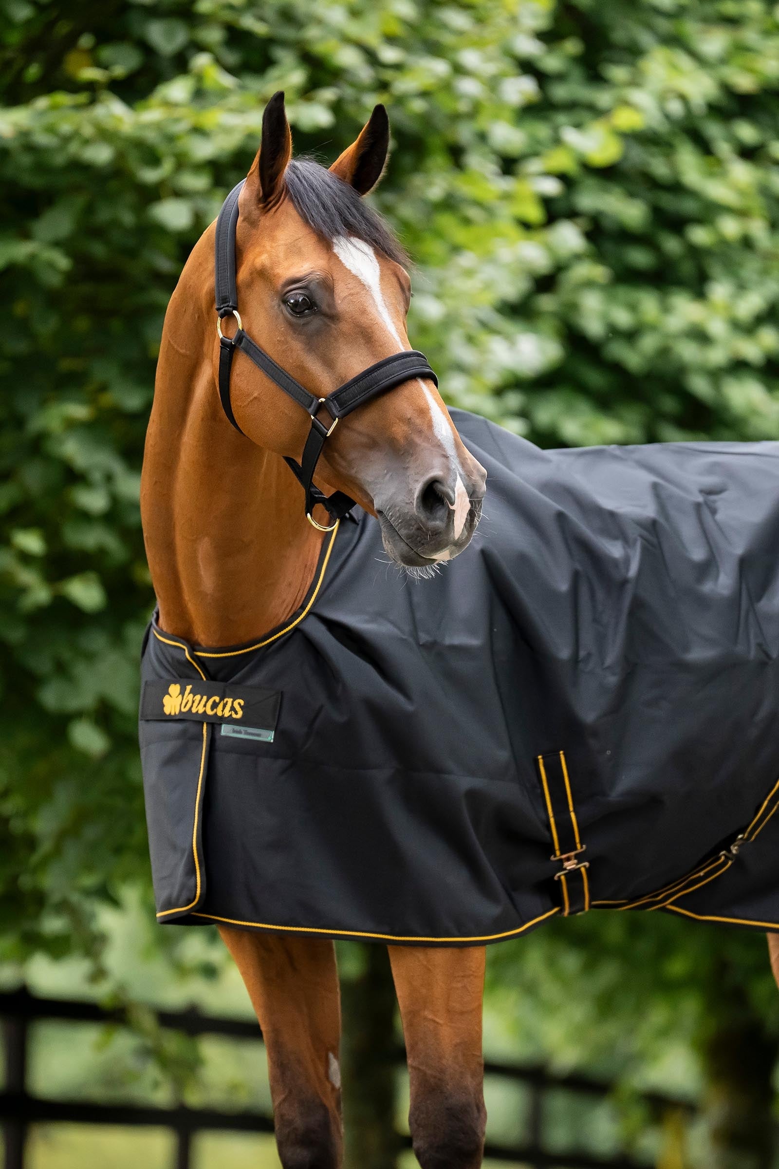 Bucas Irish Turnout Rug 0g Horse Rugs