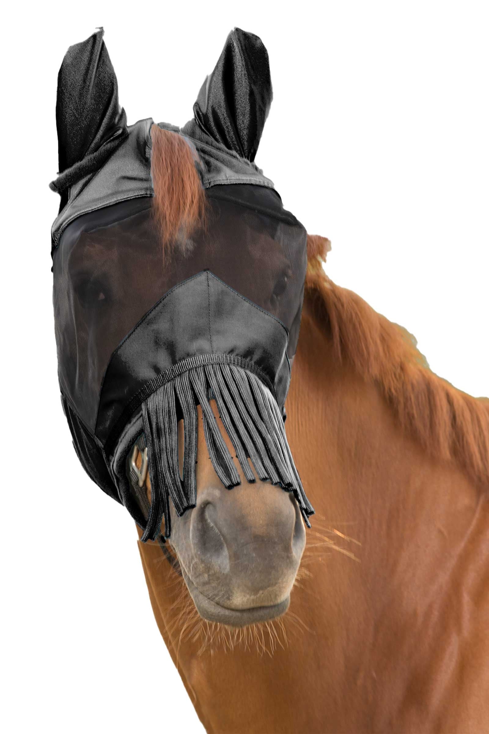Waldhausen Fly Mask With Ears and Nose Fringes Antifly Protection for Horses