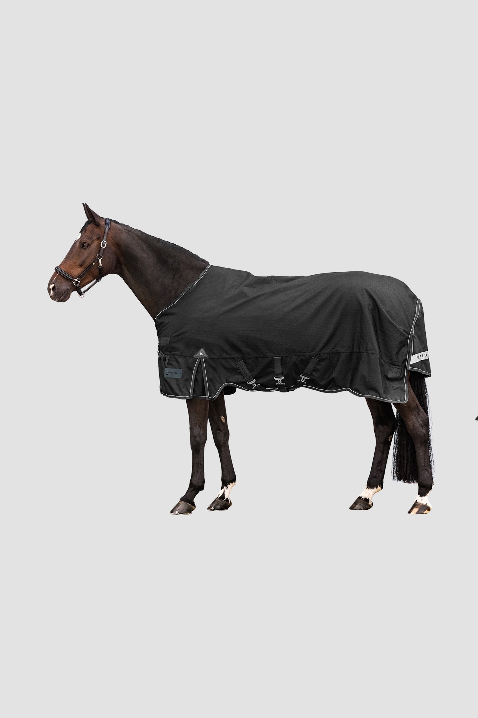 Waldhausen Outdoor Rug Scandic Multi-Layer 250 g/100 g Paardendekens