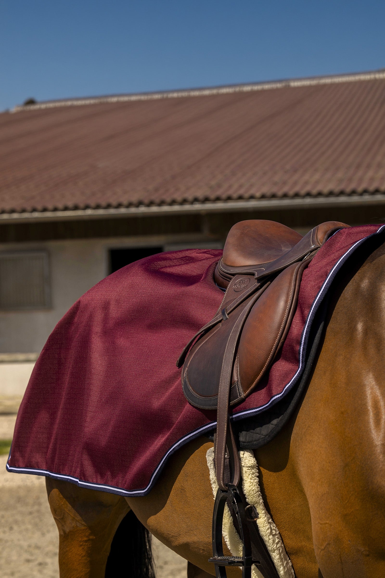 EQUITHÈME TYREX Aisance 1200D uitrijdeken Paardendekens