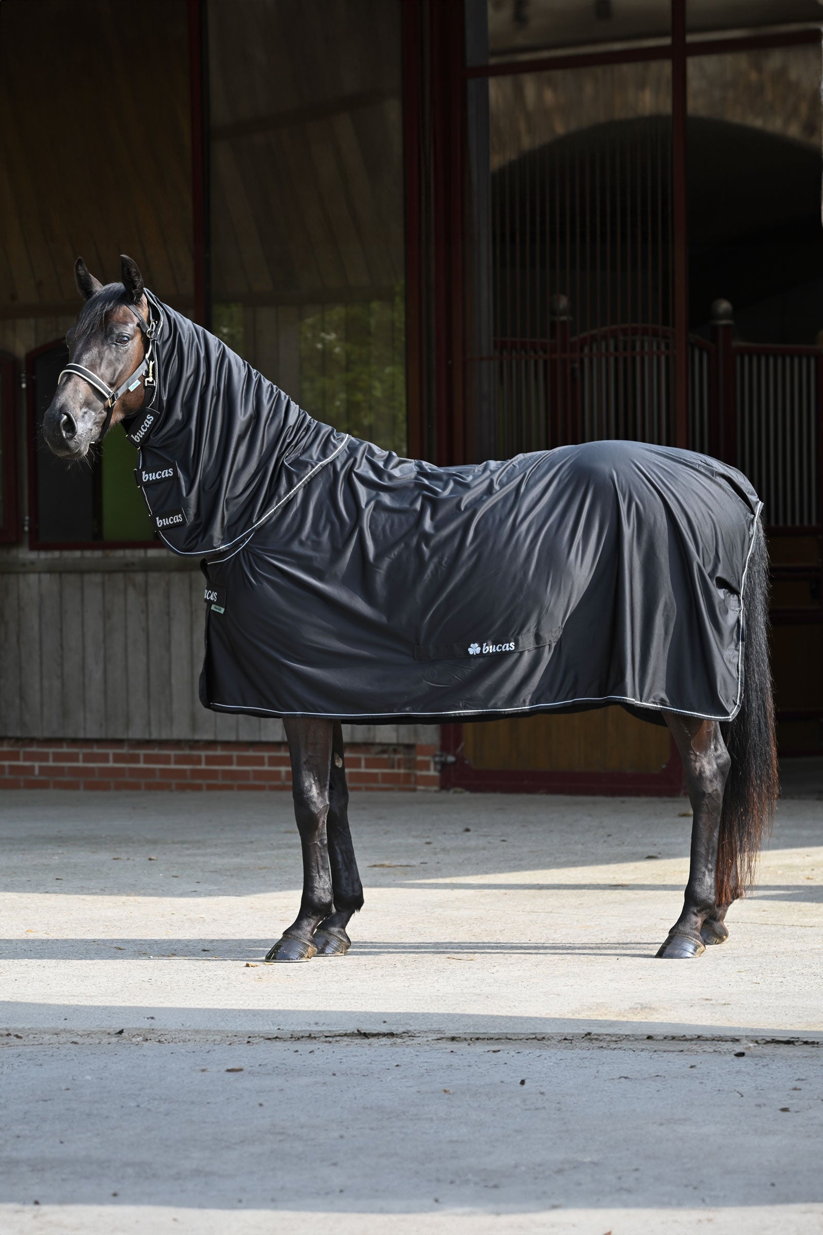 Bucas Power cooler deken + halsdeel set Paardendekens
