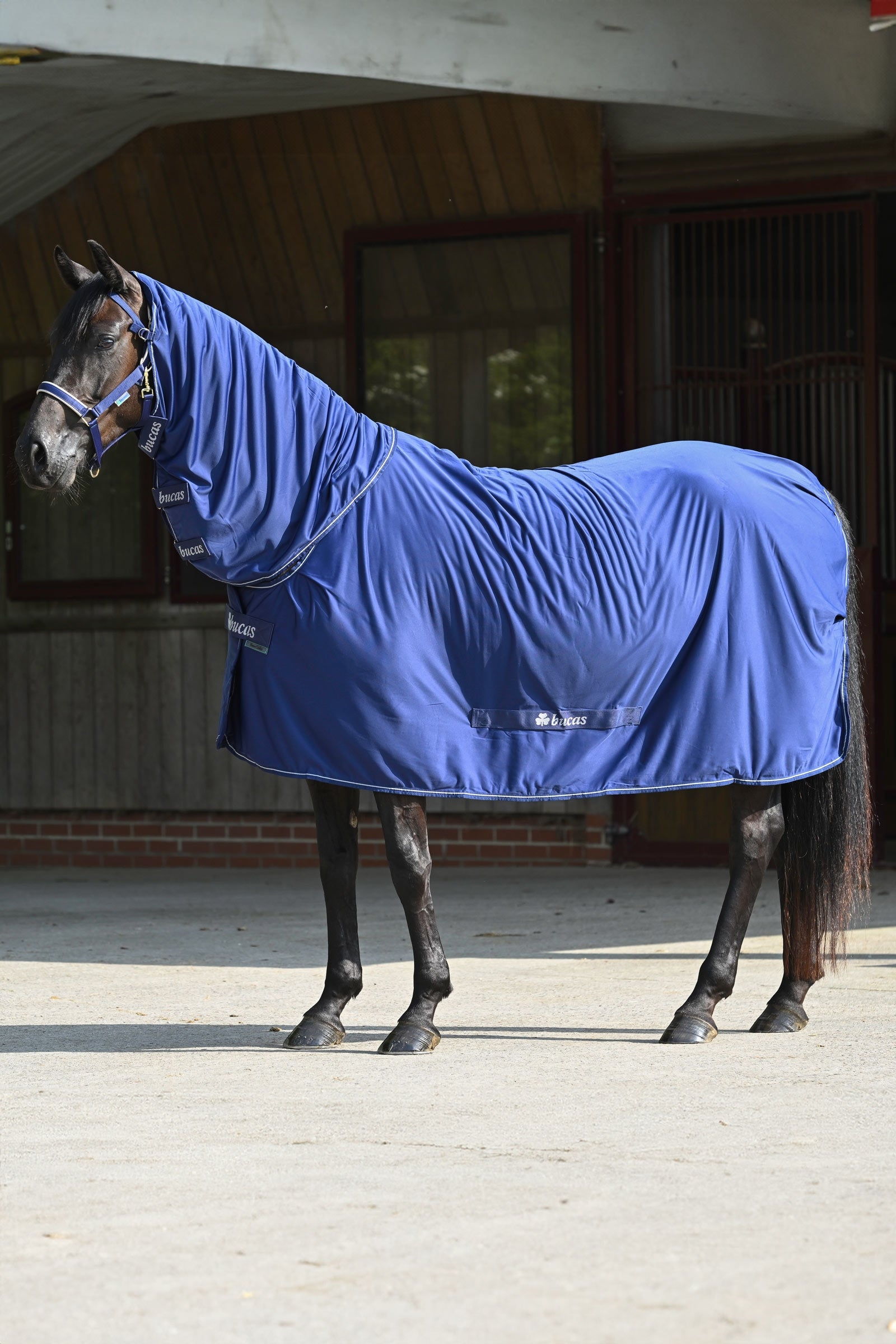 Bucas Power cooler deken + halsdeel set Paardendekens
