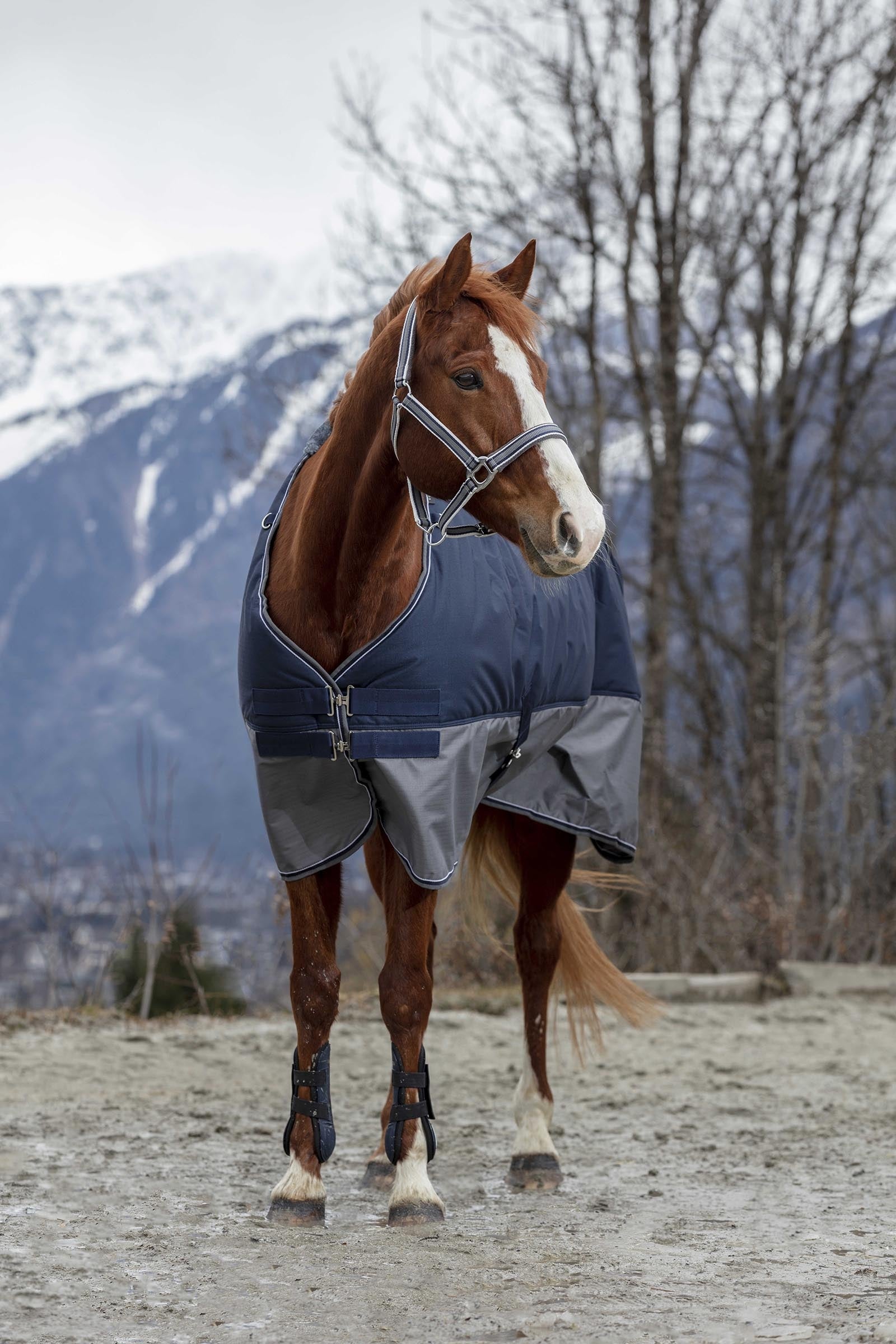 Equi Theme EQUITHÈME TYREX 600D Turnout Rug, 0 g Horse Rugs