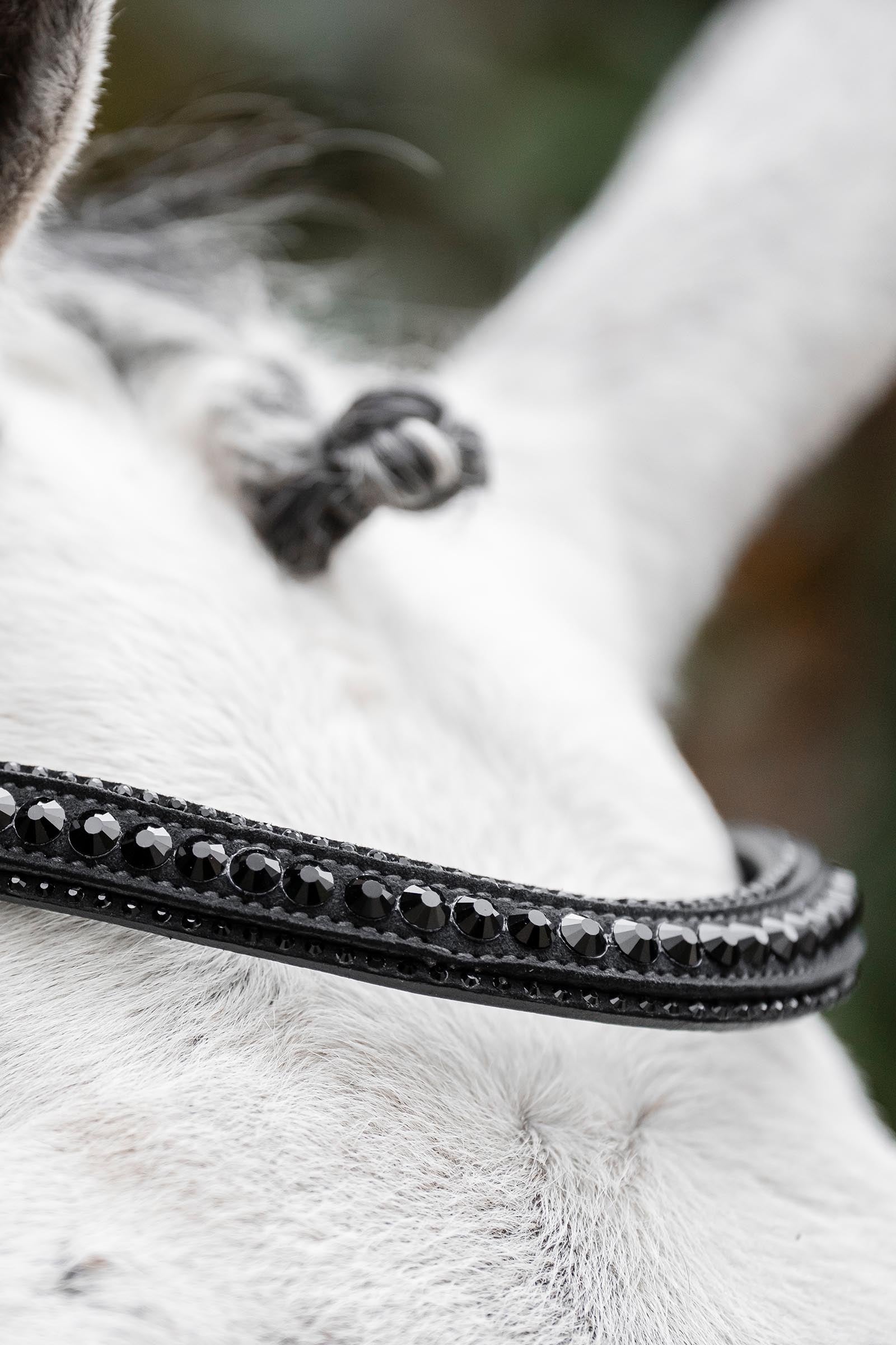 Horseware Diamante Flash Bridle Bridles & Reins