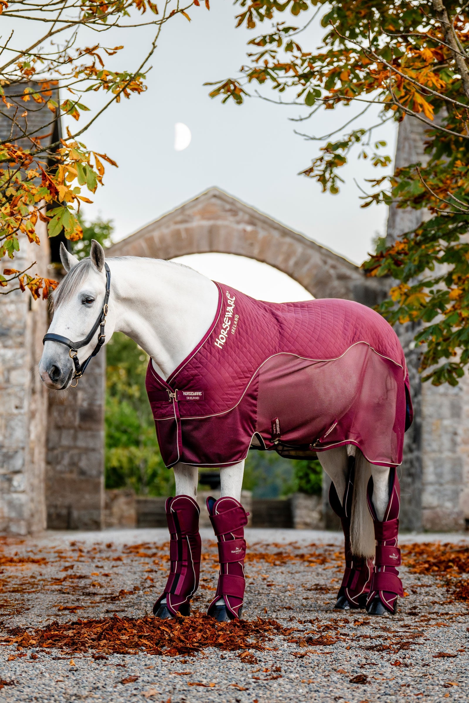 Horseware Signature Travel Cooler Horse Rugs