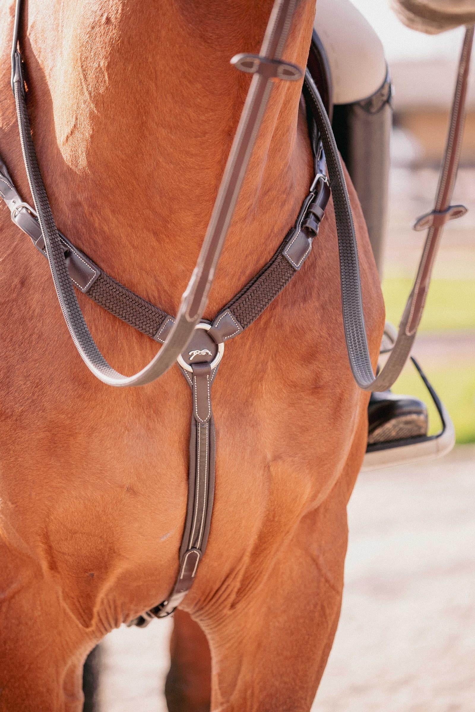 PENELOPE Martin Collar Bridles & Reins