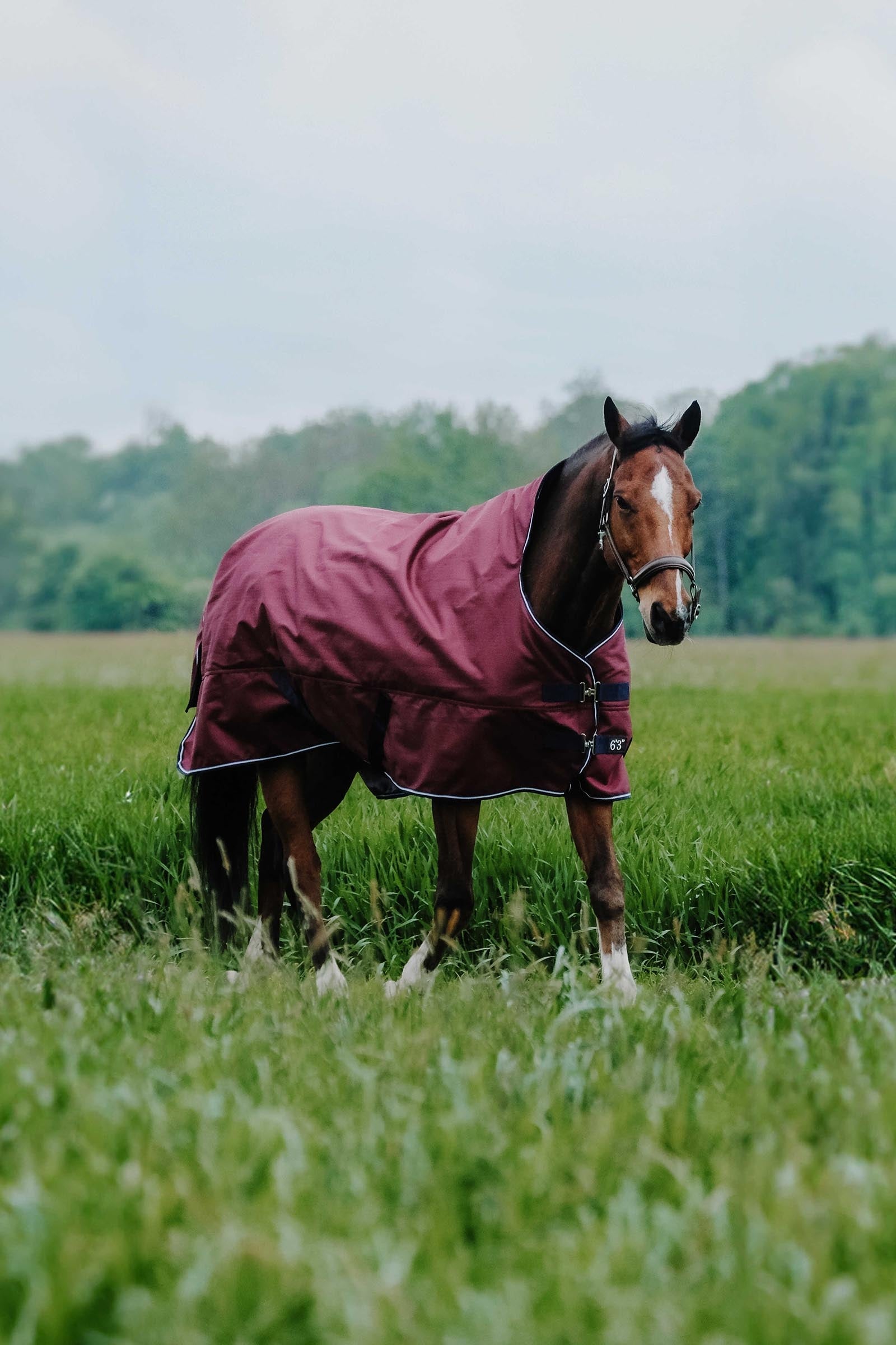 EQUITHÈME TYREX 1200D deken met hoge hals, 150 g Paardendekens