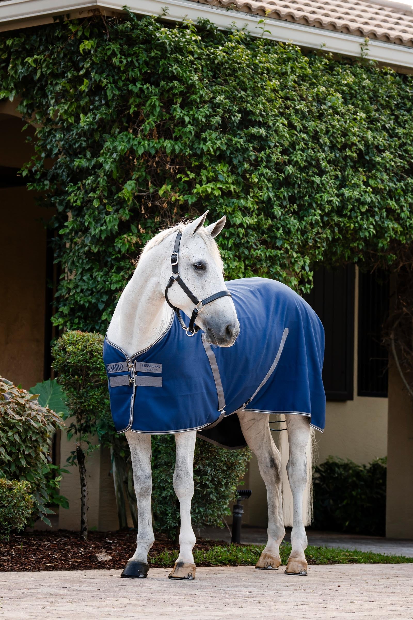 Horseware Rambo Stable Sheet Horse Rugs