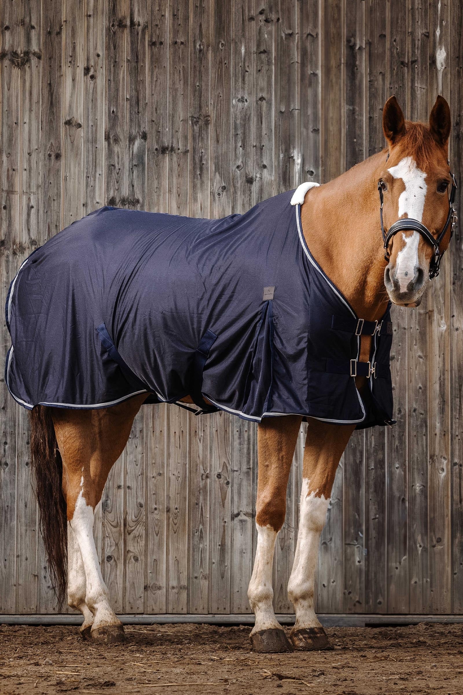 Equi Theme EQUITHÈME Micro Mesh Sheet Horse Rugs