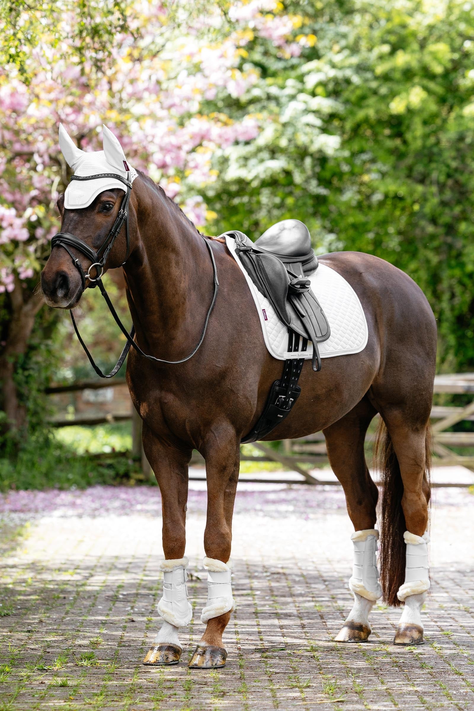 LeMieux Brilliance Fleece Edged Brushing Boots Leg & Hoof Protection