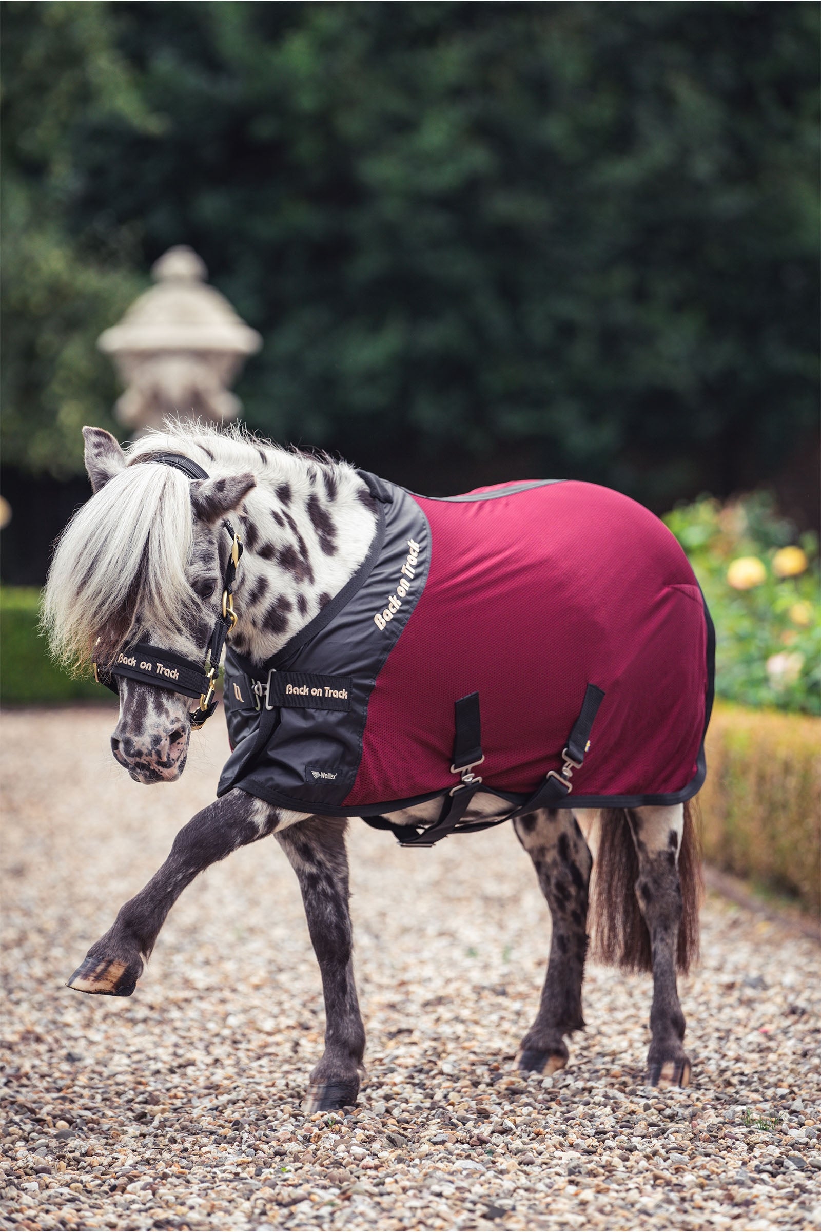 Back on Track Royal Pony Mesh Rug Deluxe Horse Rugs