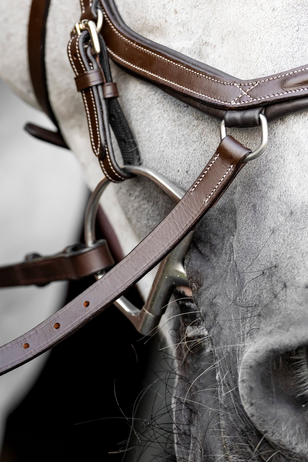 Horseware Deluxe Competition Micklem Bridles & Reins