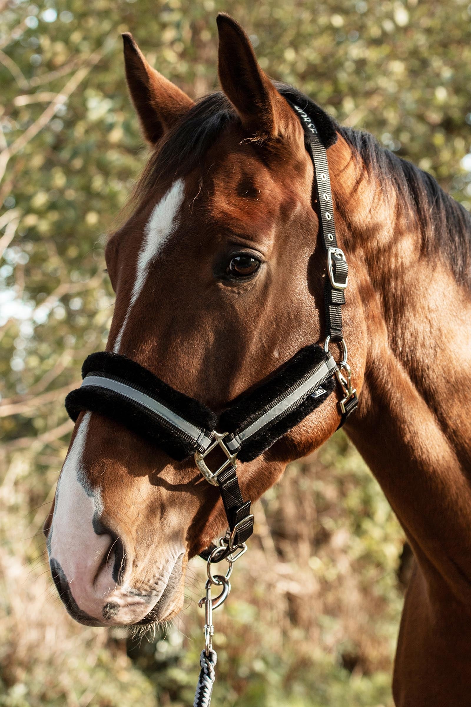 Mountain Horse Adjustable Halter With Faux Fur Halsters & Halstertouwen