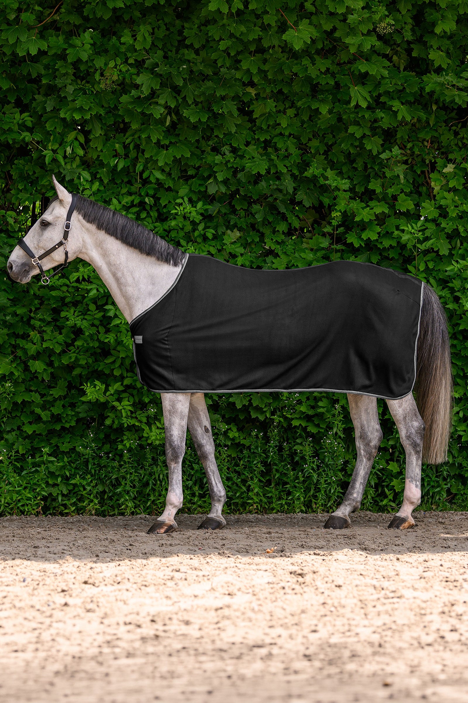Waldhausen ECONOMIC Fleece Rug Horse Rugs