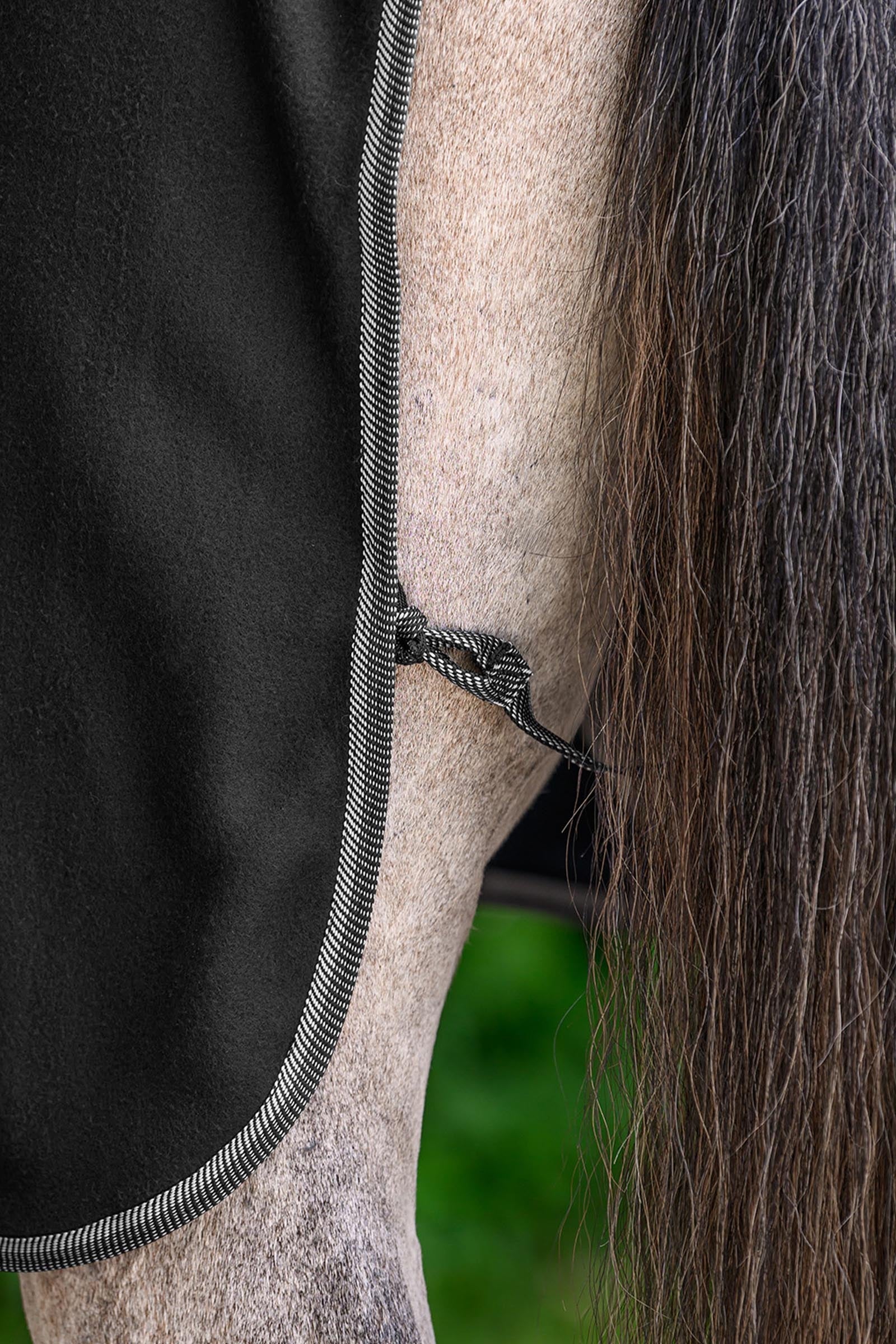 Waldhausen ECONOMIC Fleece Rug Horse Rugs