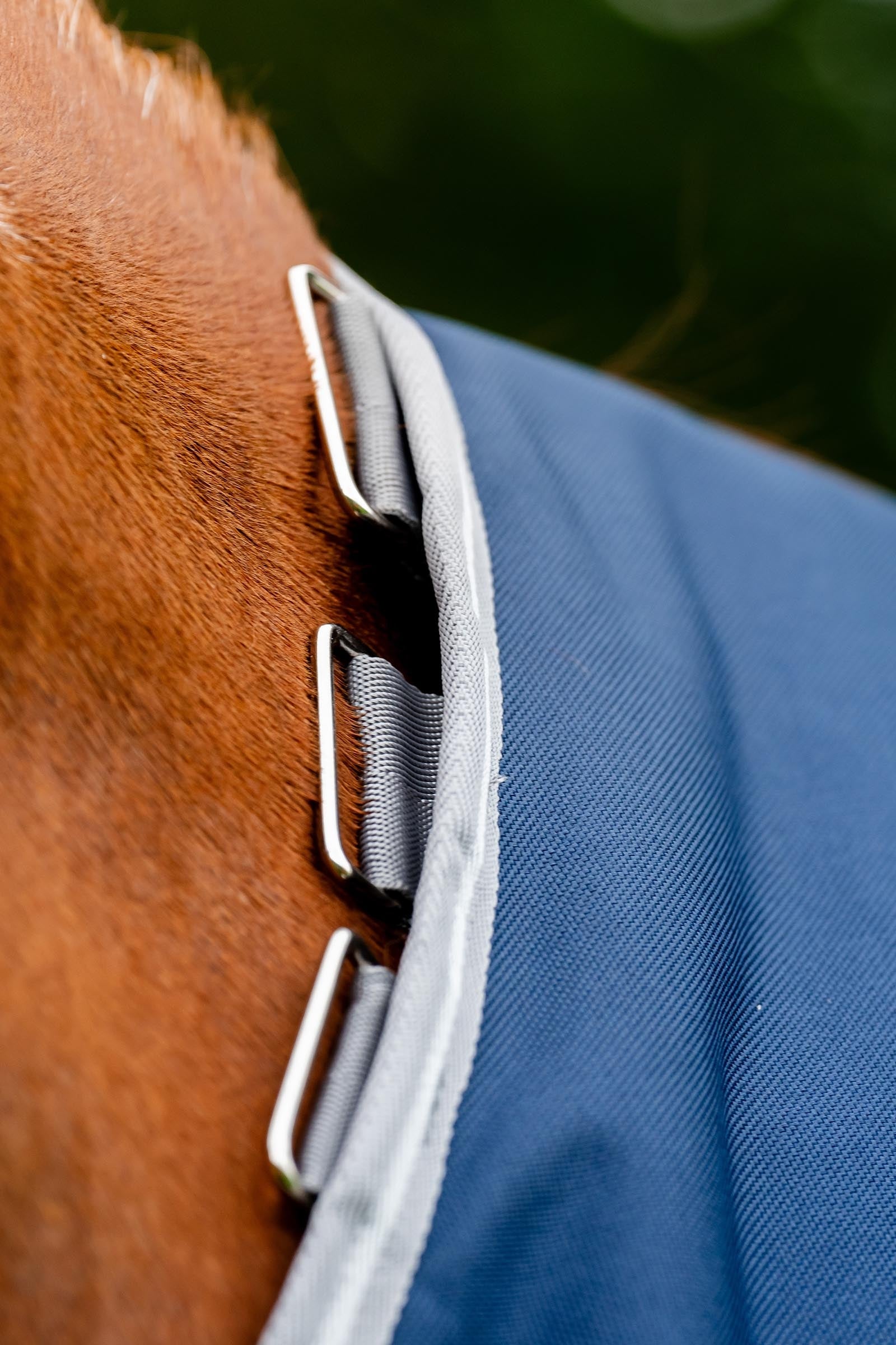 Horseware Amigo Bravo 12 Plus Bundle Turnout Rug 50g, With 2 Liners Horse Rugs