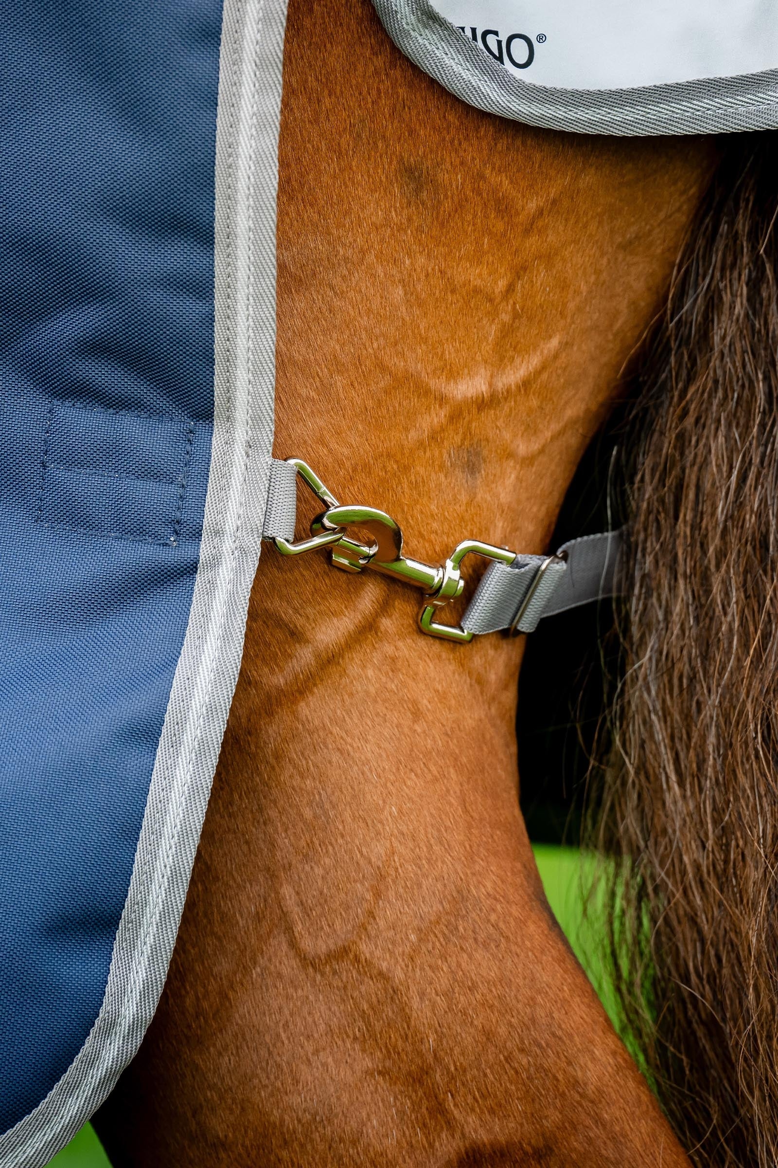 Horseware Amigo Bravo 12 Plus Bundle Turnout Rug 50g, With 2 Liners Horse Rugs