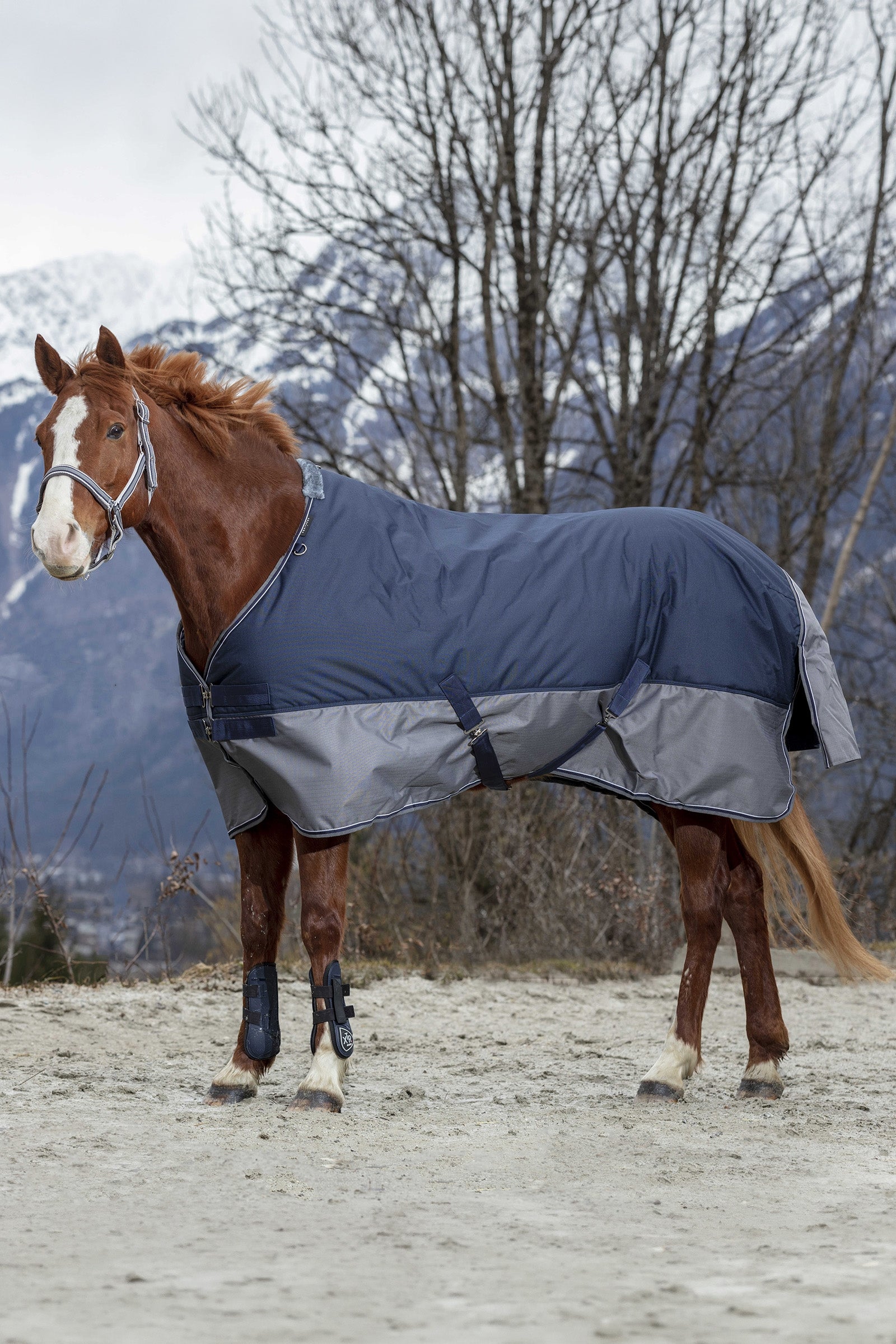 EQUITHÈME TYREX 600D outdoordeken, 50 g Paardendekens