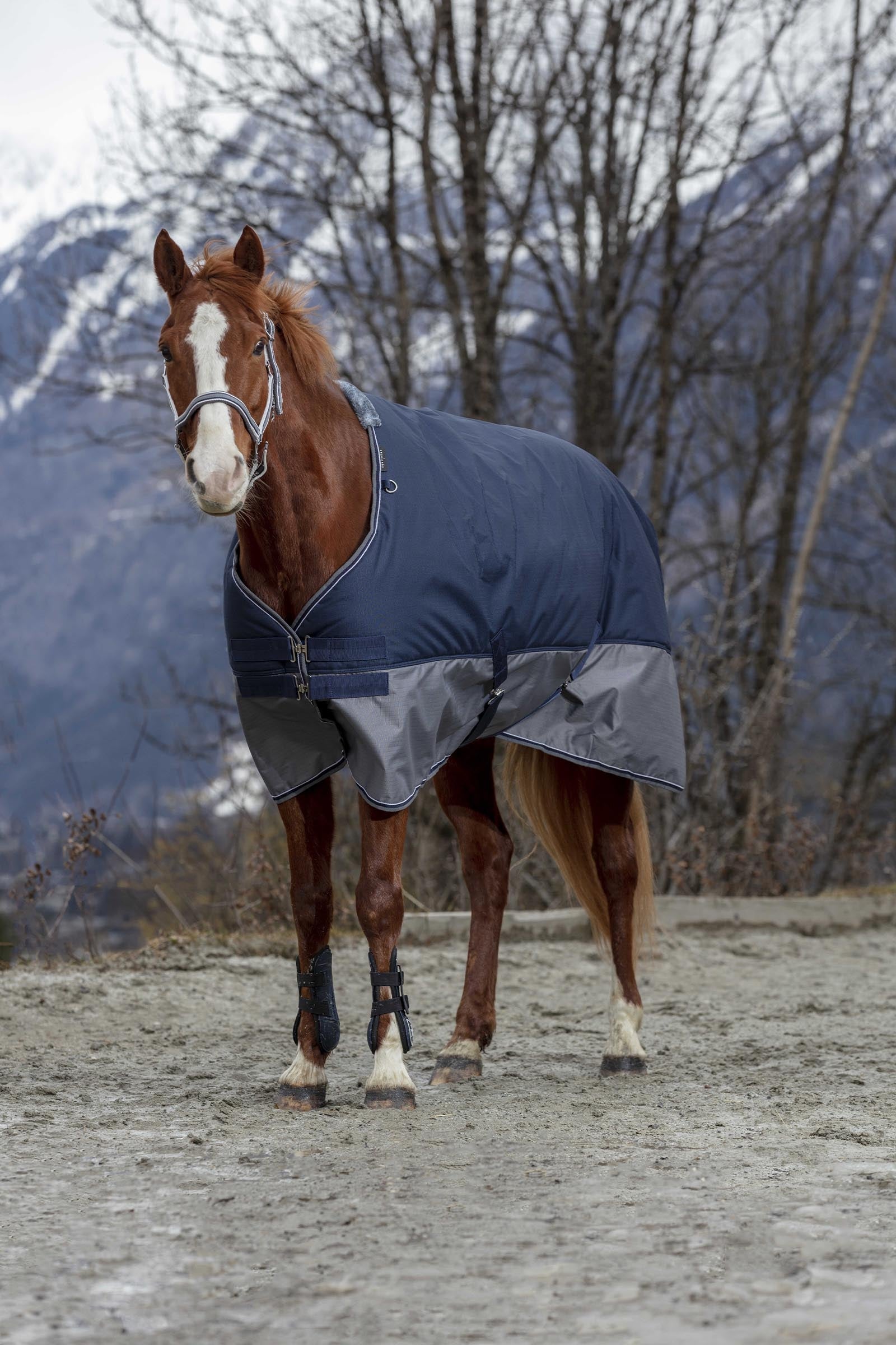 EQUITHÈME TYREX 600D Turnout Rug, 50 g Horse Rugs