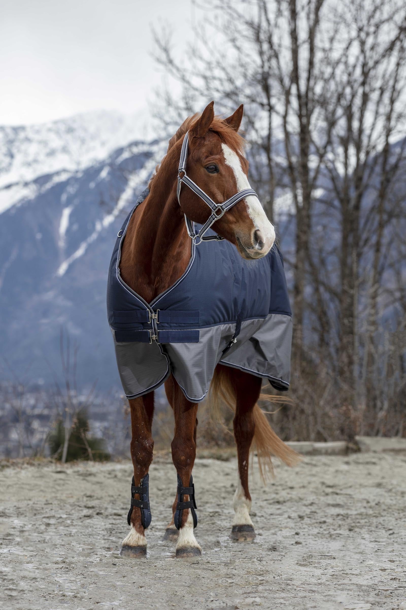 EQUITHÈME TYREX 600D Turnout Rug, 50 g Horse Rugs