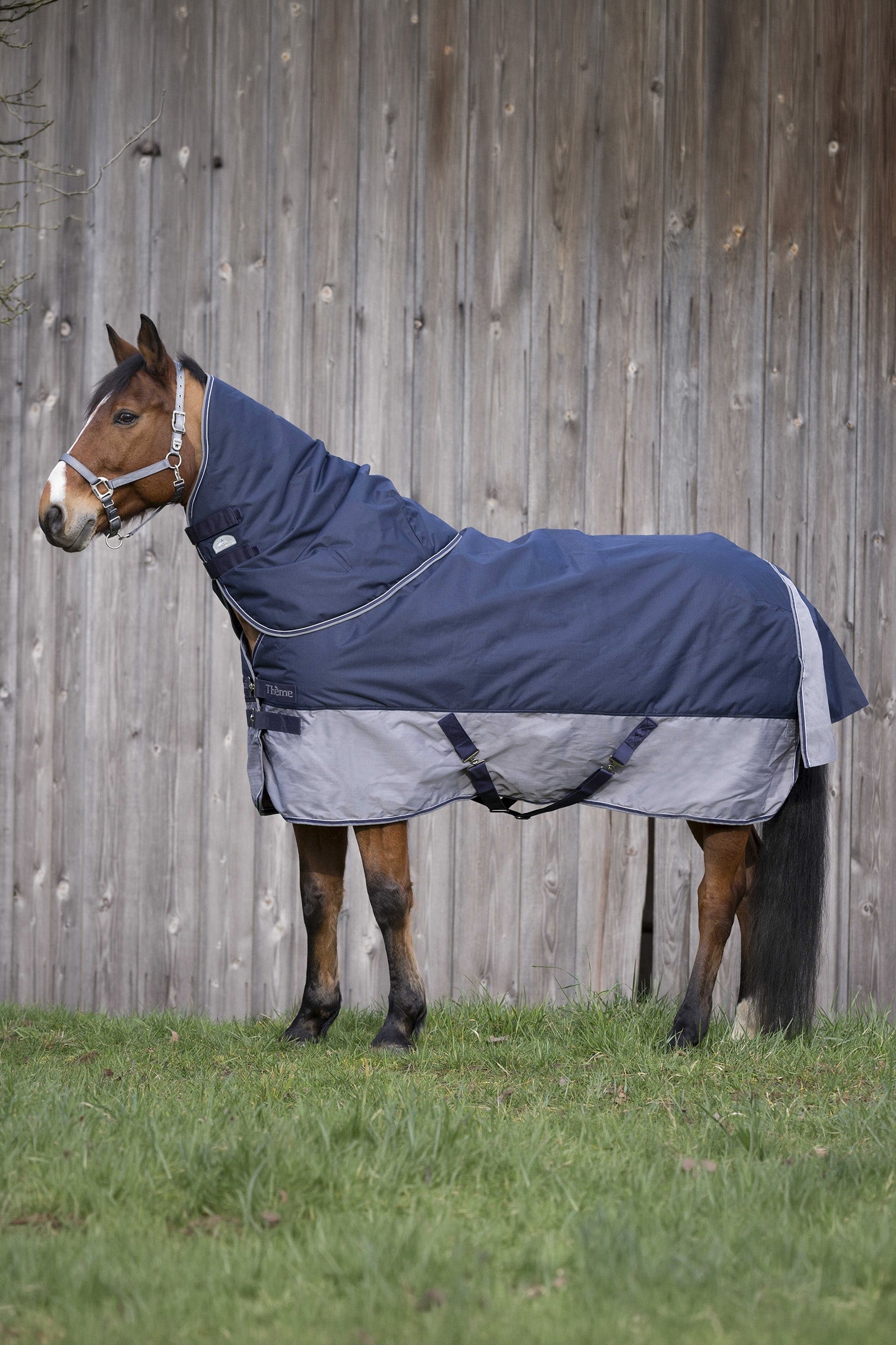 EQUITHÈME TYREX 600D Turnout Rug, 50 g Horse Rugs
