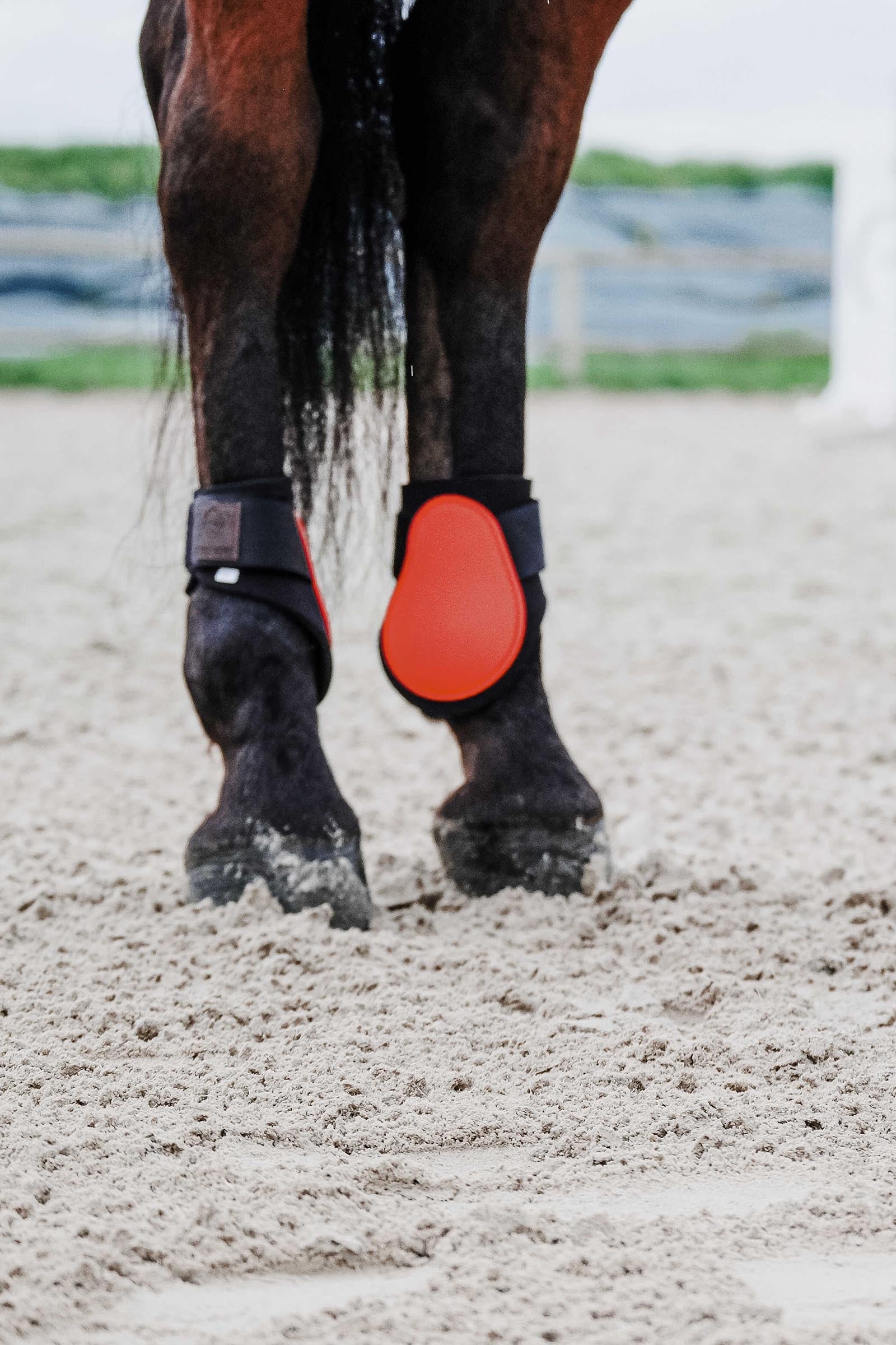 Equi Theme EQUITHÈME Tara Fetlock Boots Leg & Hoof Protection