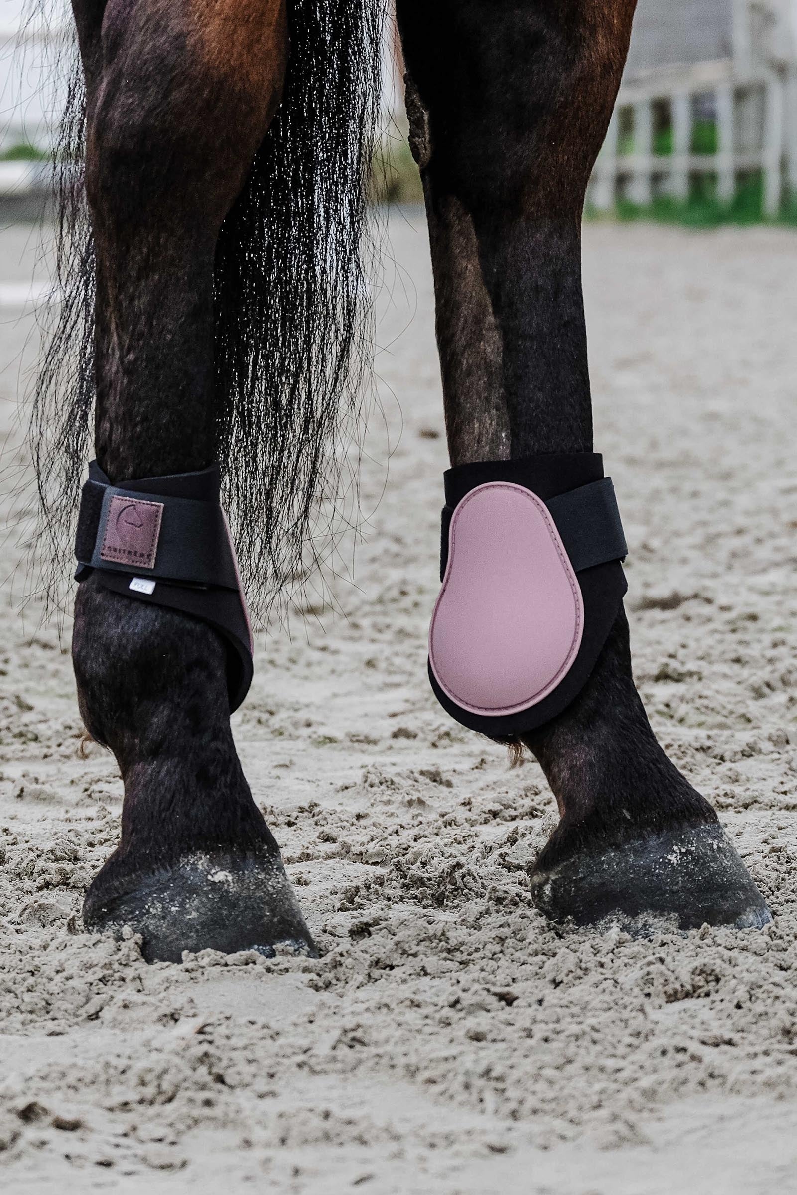 Equi Theme EQUITHÈME Tara Fetlock Boots Leg & Hoof Protection