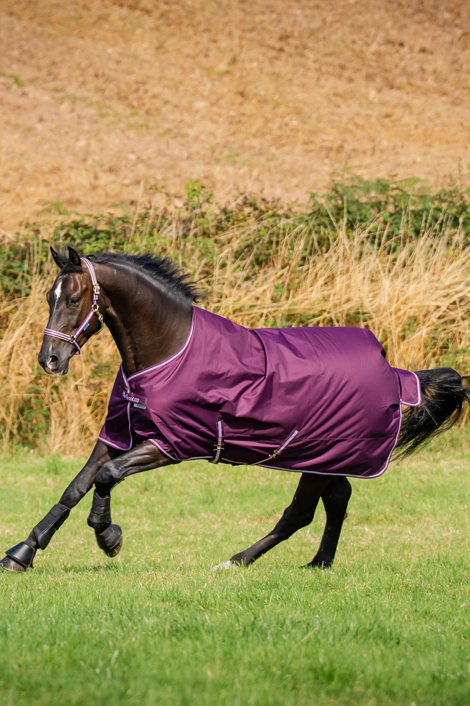 Bucas Freedom Light Pony Turnout Rug, 0g Horse Rugs