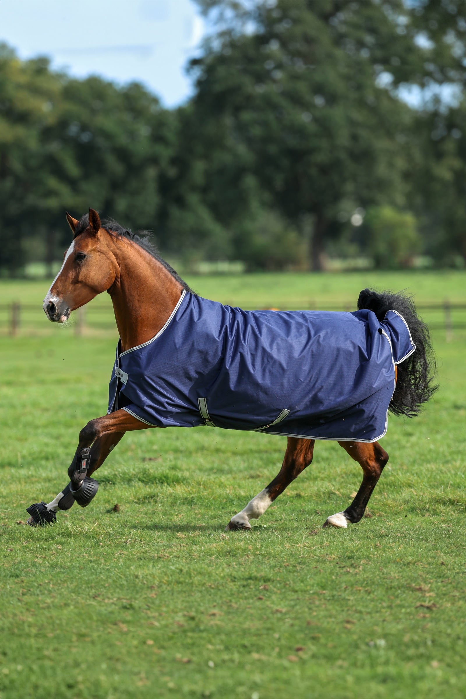 Freedom Light Pony Turnout Rug, 0g Dark Blue 95 – horze