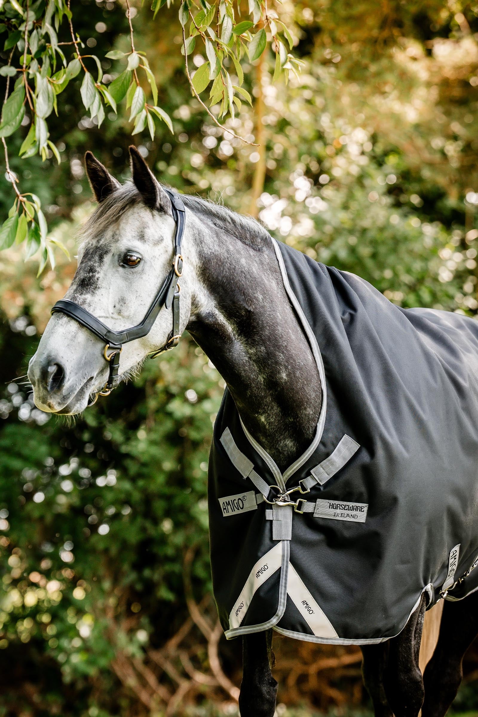 Horseware Amigo 1200D Wug Turnout 150 g Horse Rugs