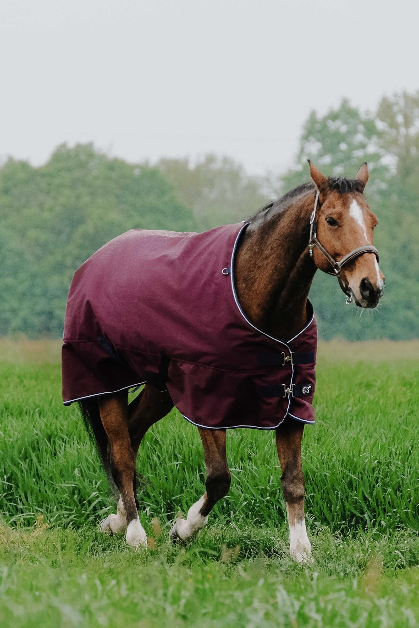 EQUITHÈME TYREX 1200D Turnout Rug, 150 g Horse Rugs