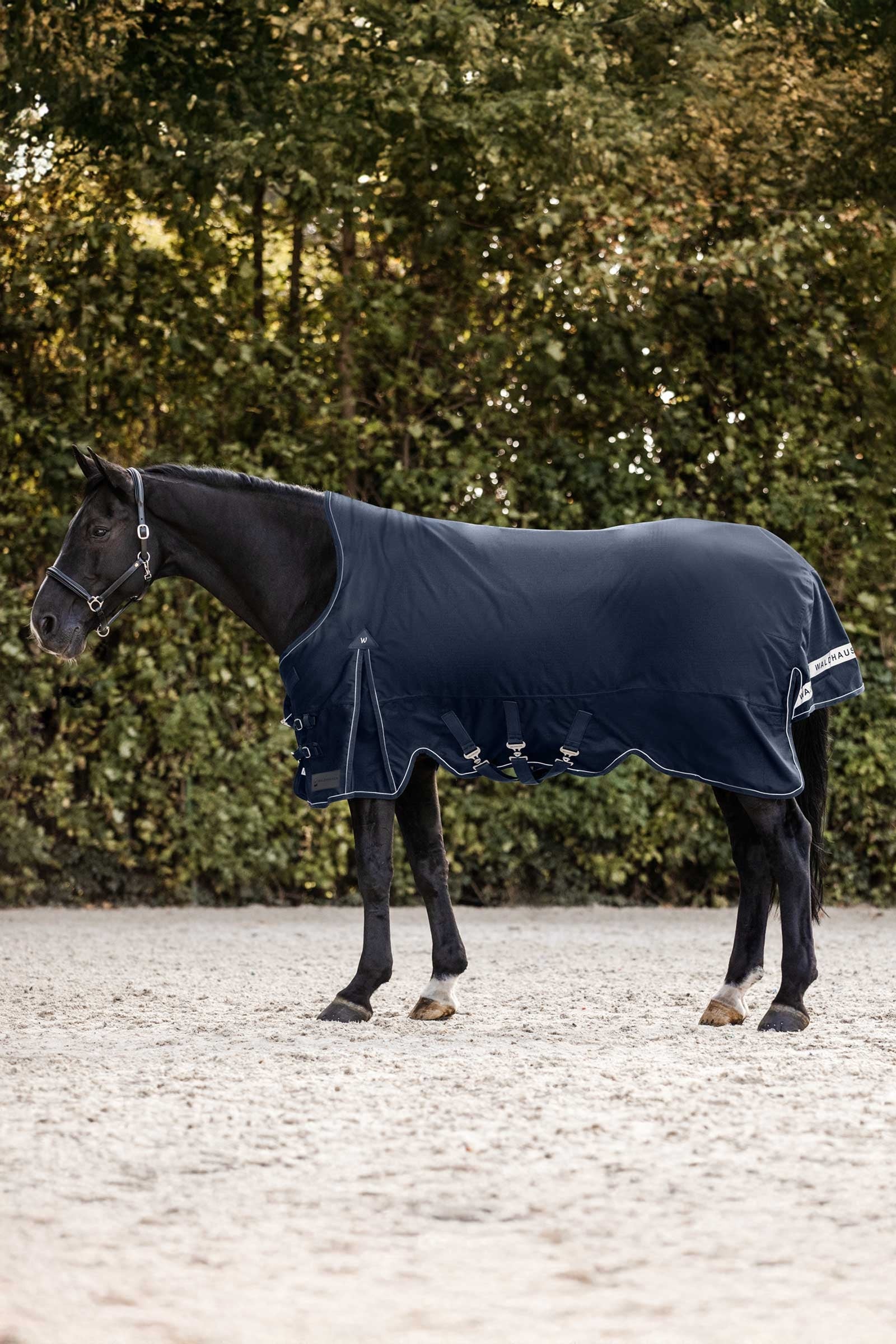 Waldhausen Scandic Outdoordeken met hoge hals, 200 g Paardendekens