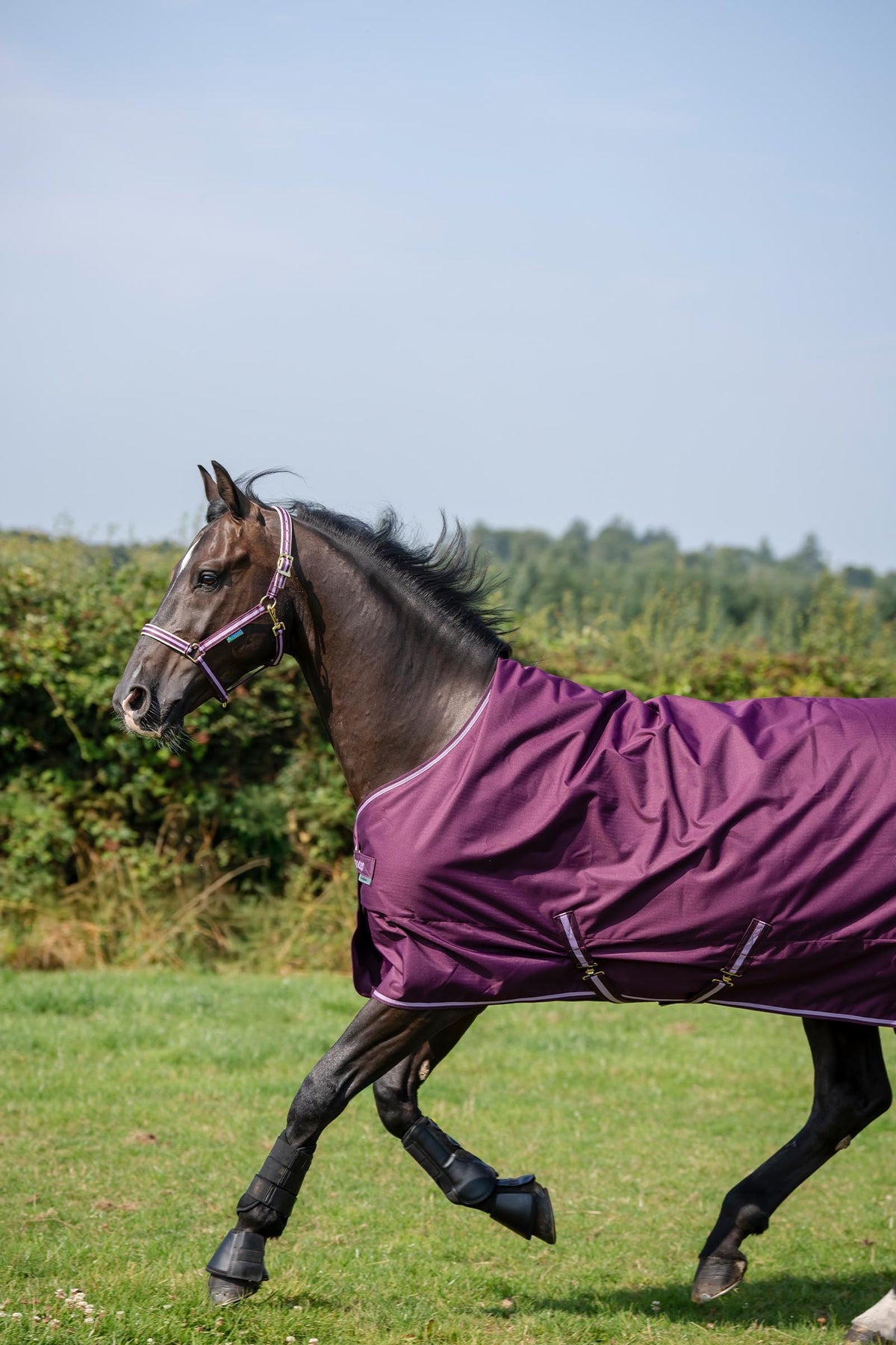 Bucas Freedom Pony Turnout Rug, 150g Horse Rugs