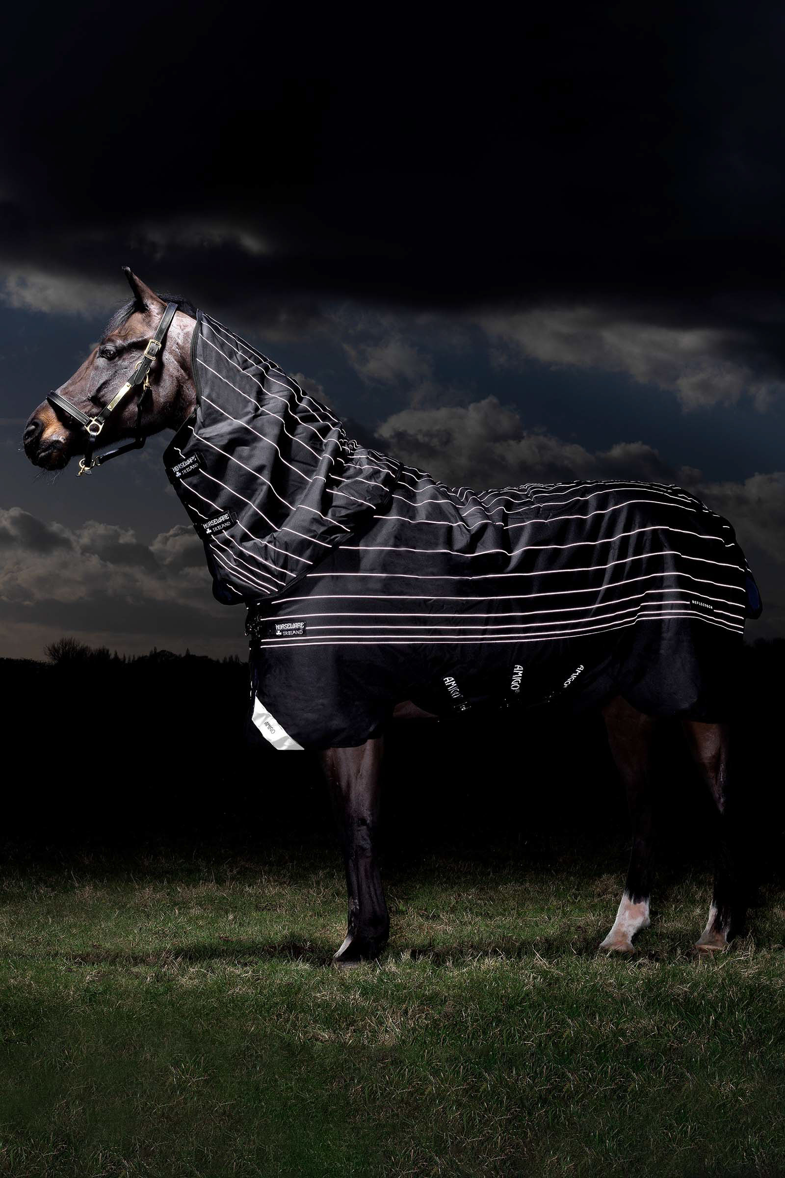 kroon natuurkundige Ronde Koop Horseware Amigo Bravo 12 Reflective Plus Regendeken met afneembare hals,  250 grams | horze.nl
